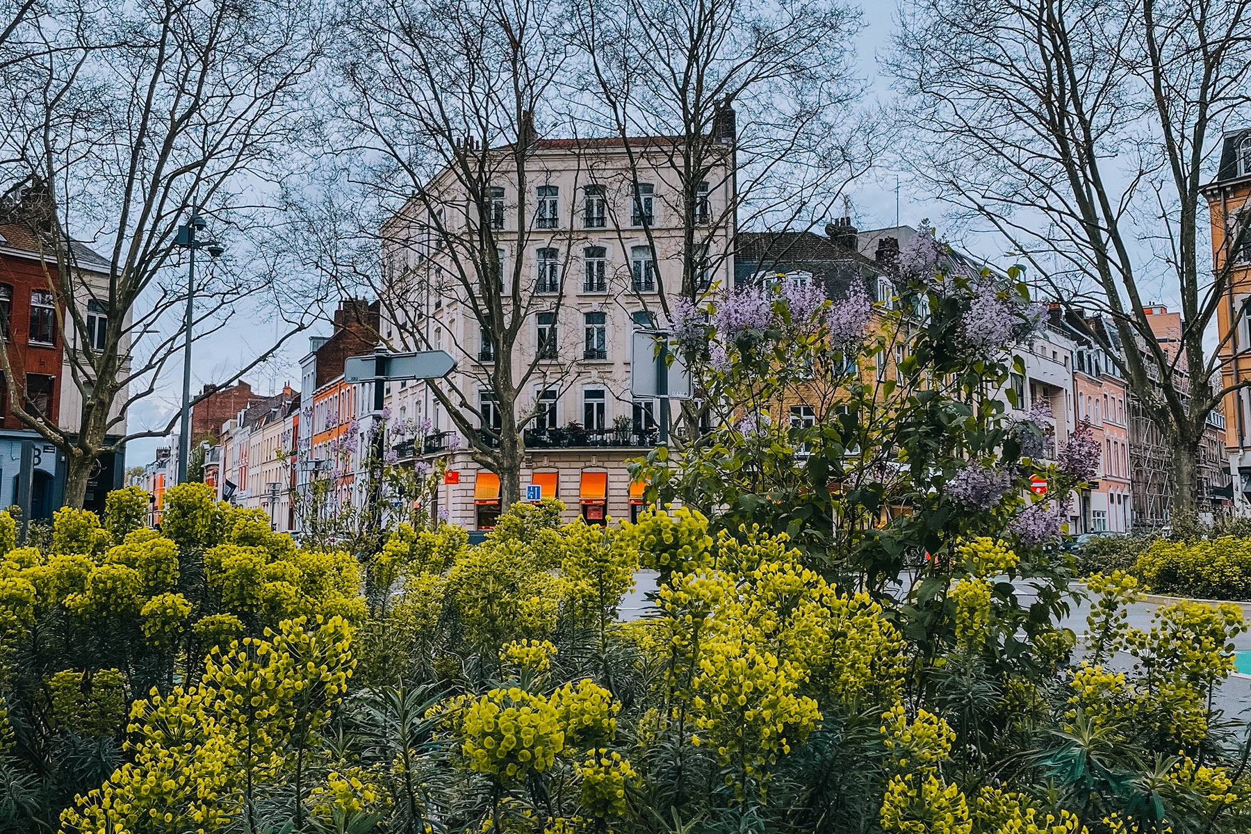 Städtereise nach Lille in Frankreich