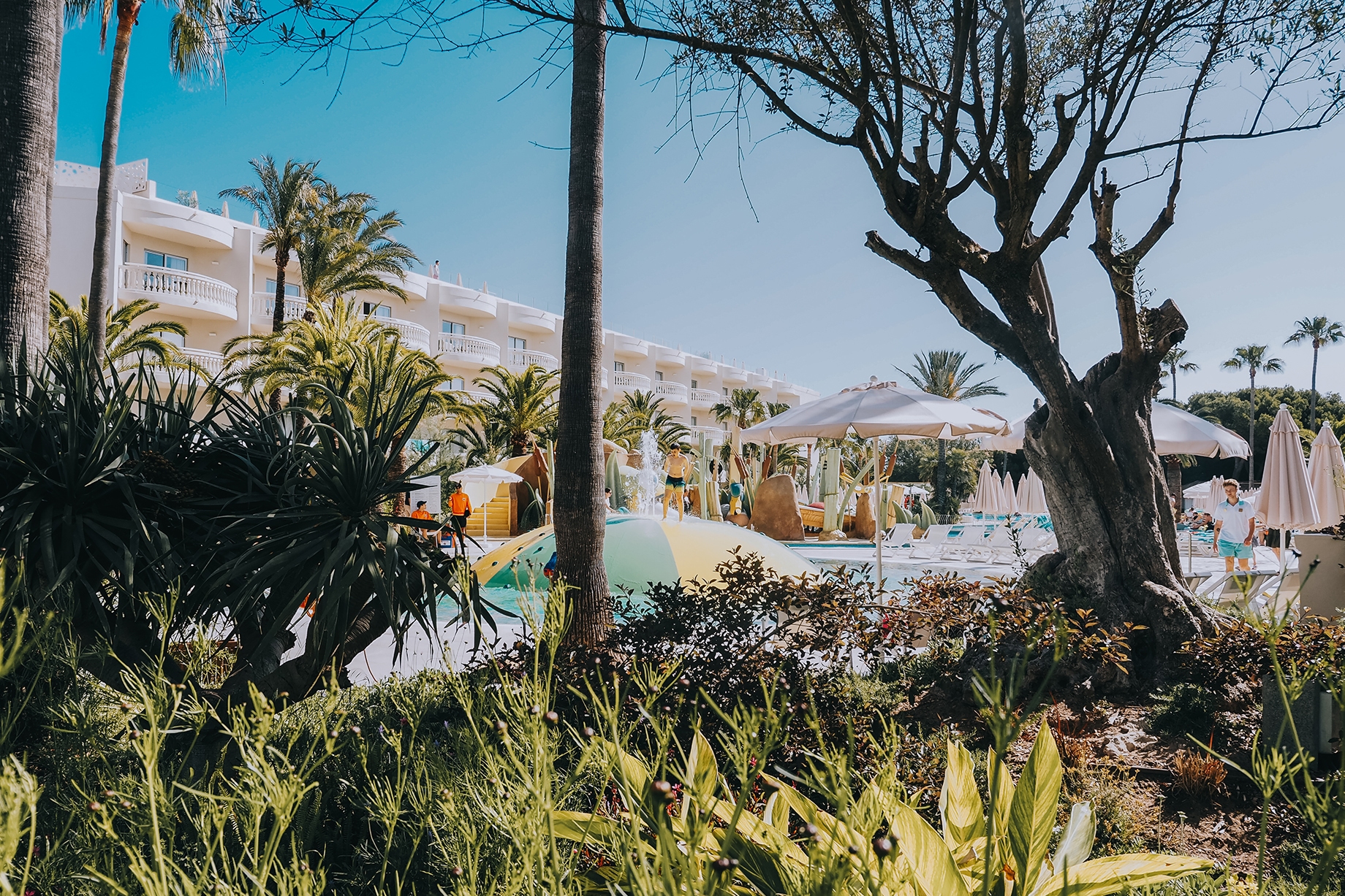 Iberostar Selektion Albufera Park Mallorca