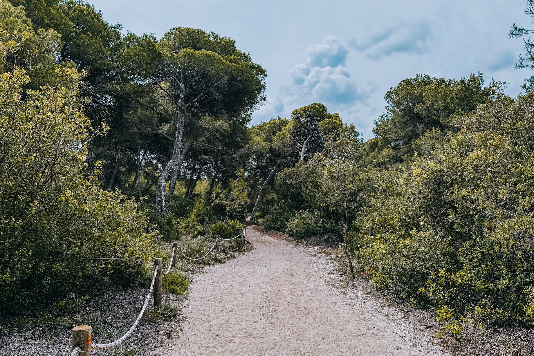 Iberostar Selektion Albufera Park Mallorca