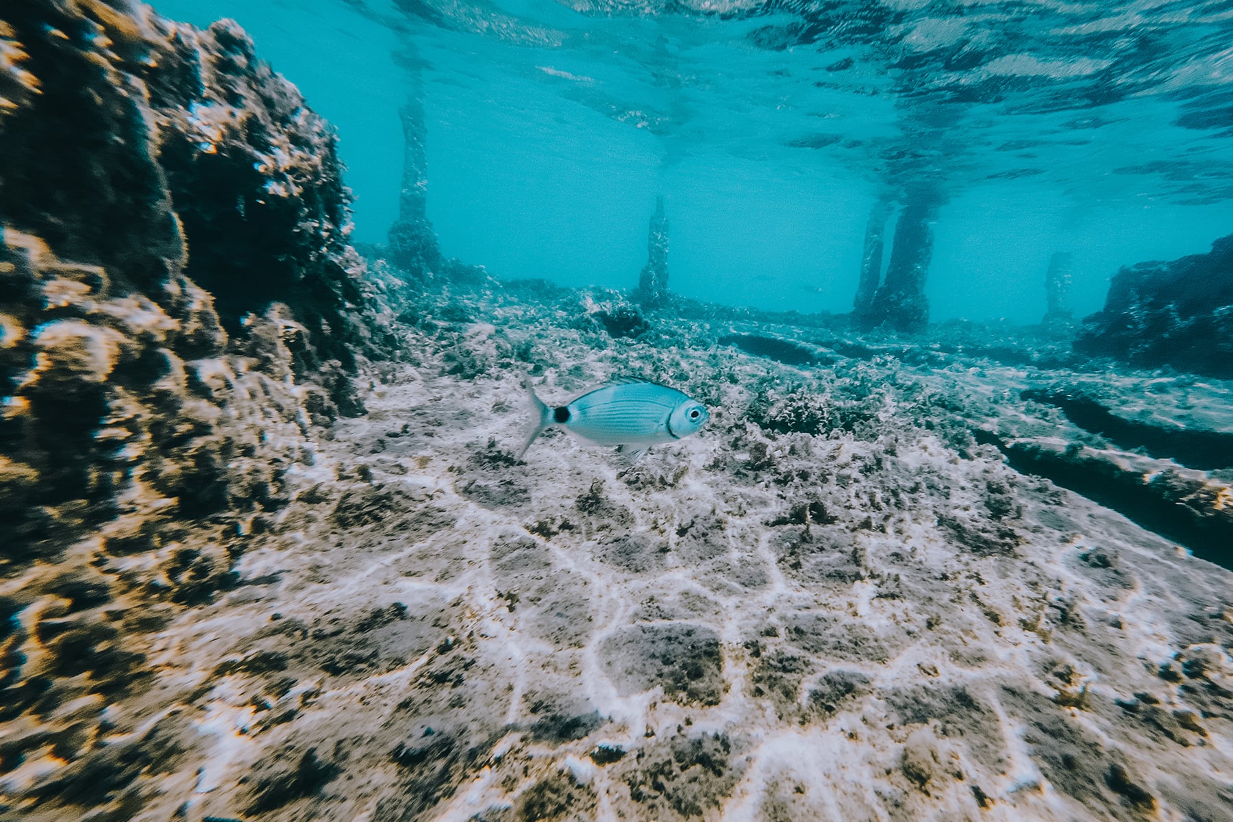 Sommerurlaub Peloponnes Griechenland