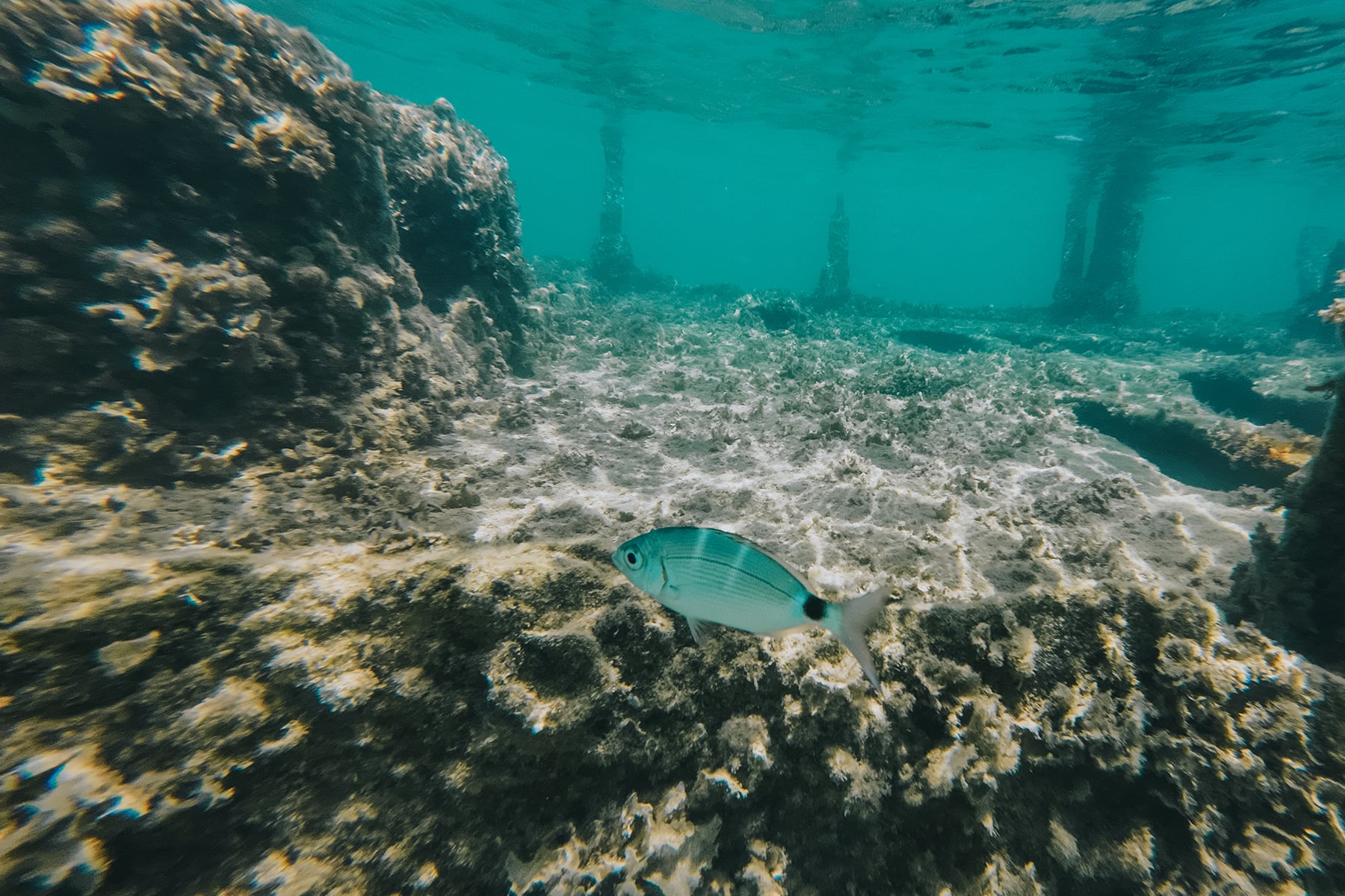 Sommerurlaub Peloponnes Griechenland