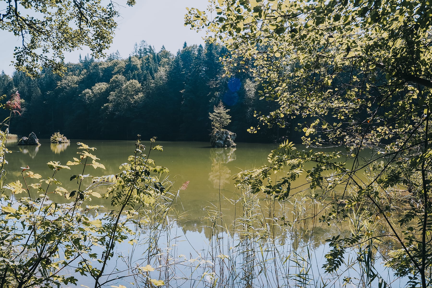 Berglsteiner See Alpachtal