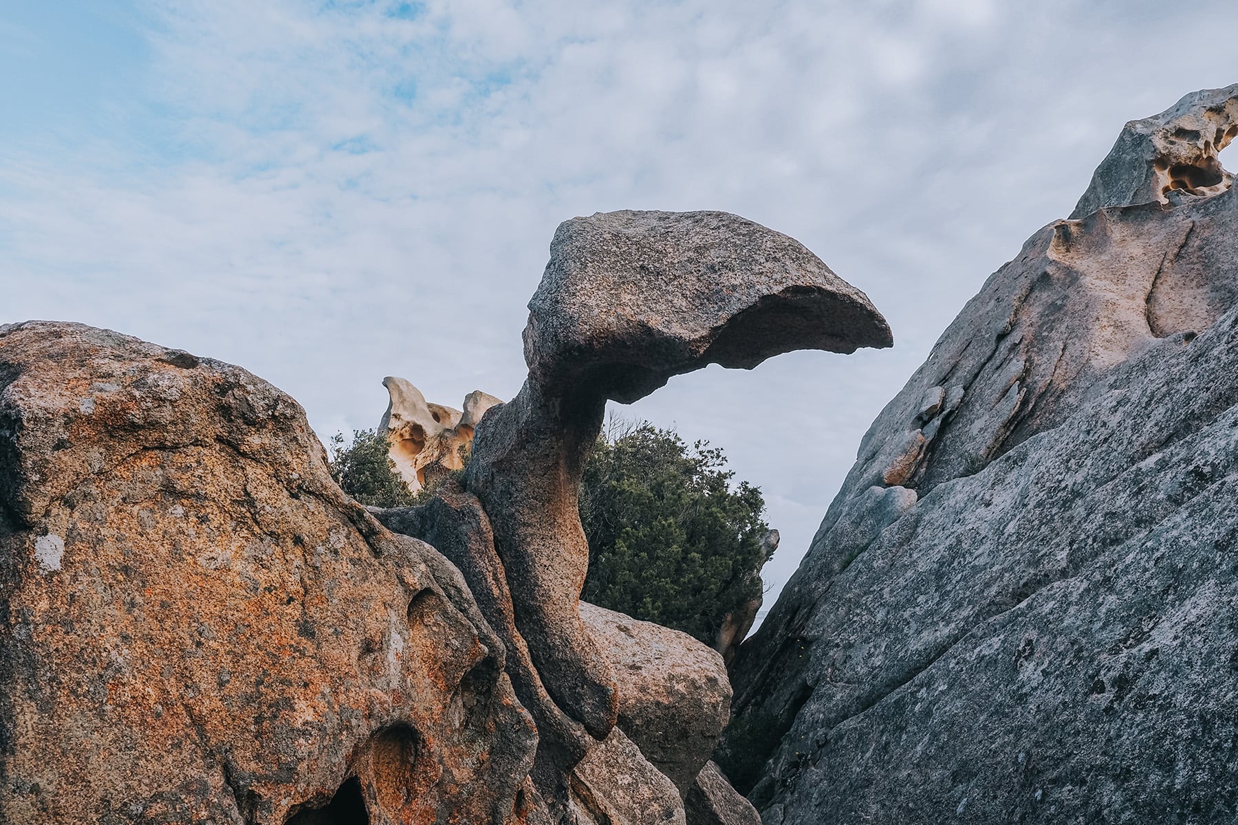 Capo d'Orso auf Sardinien in Italien