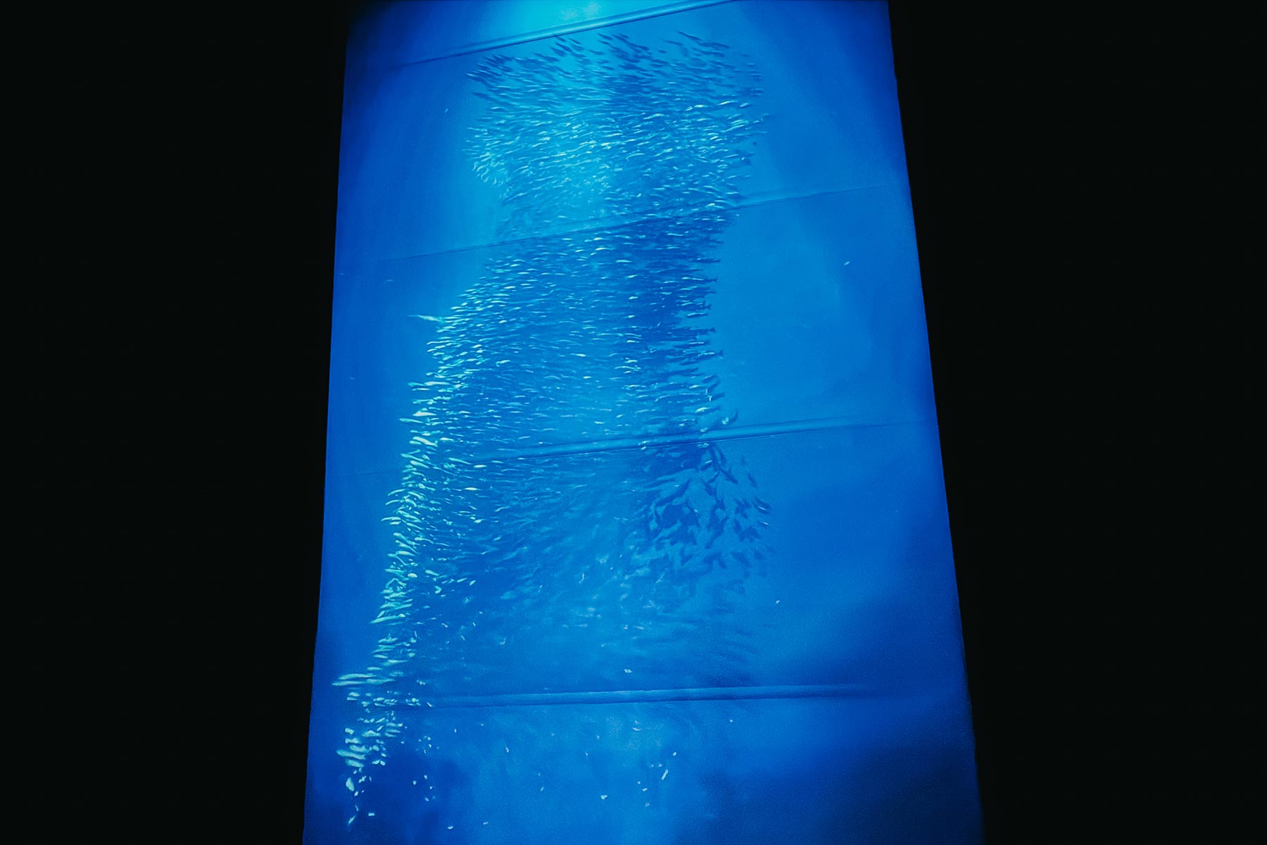 Gasometer Oberhausen