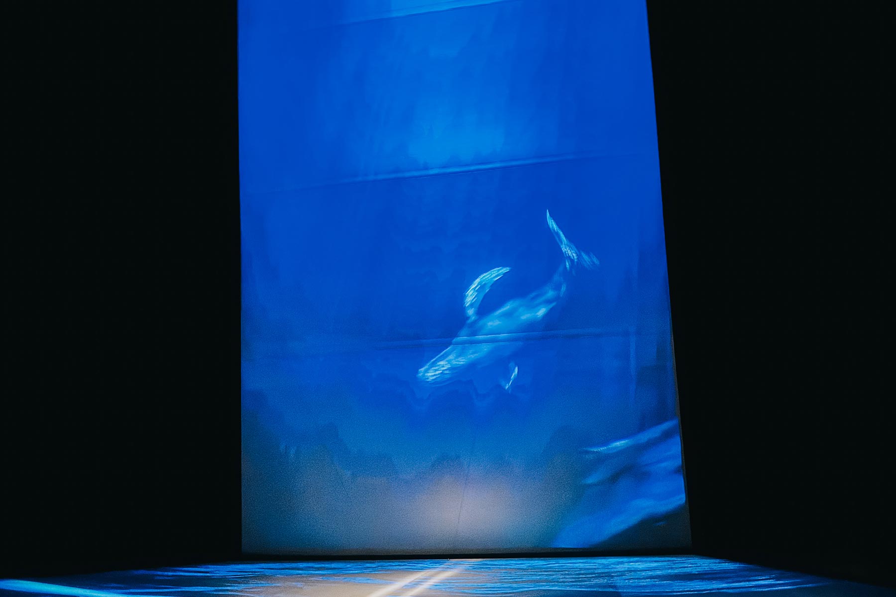 Der Gasometer und die Ausstellung „Planet Ozean“