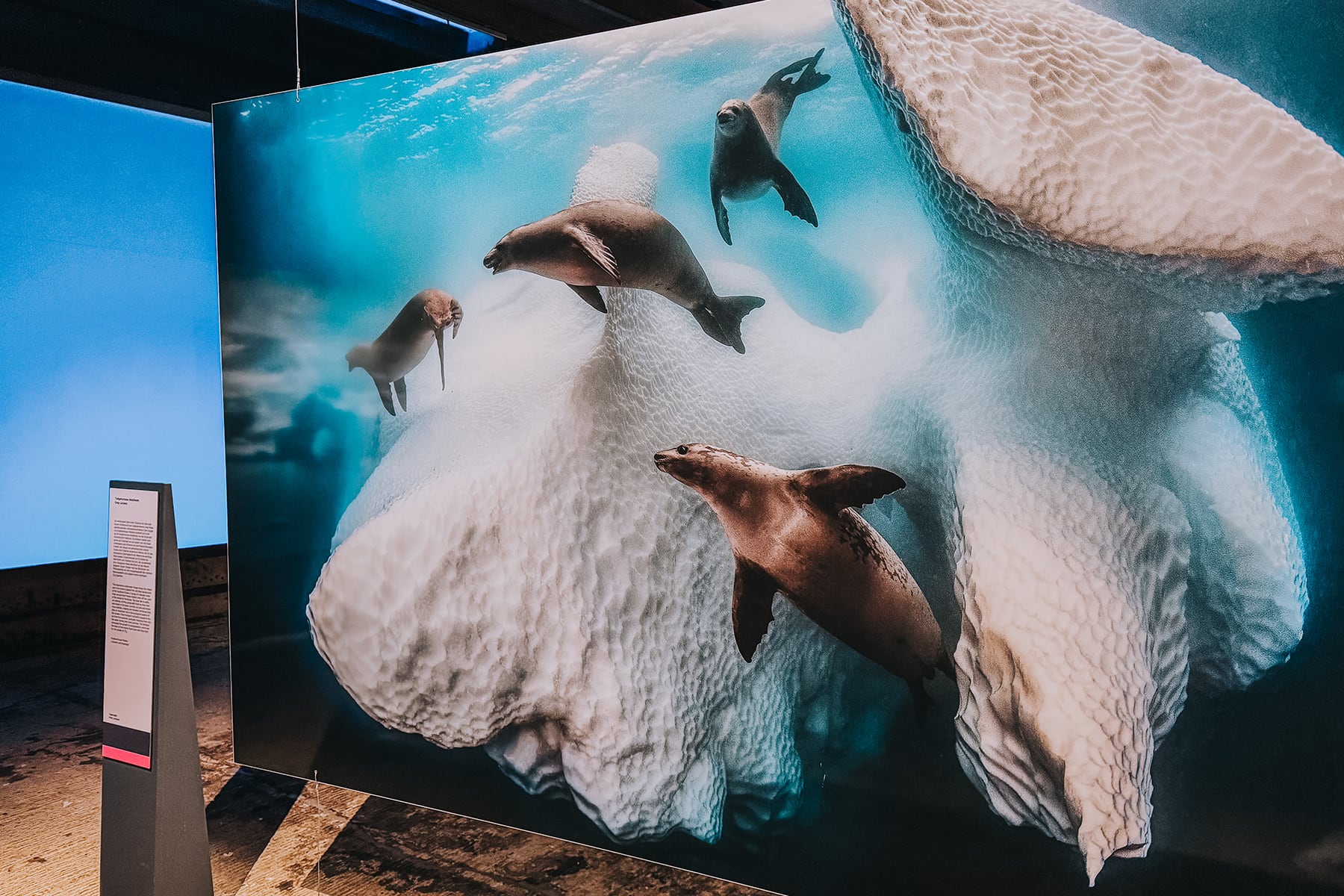 Gasometer Oberhausen