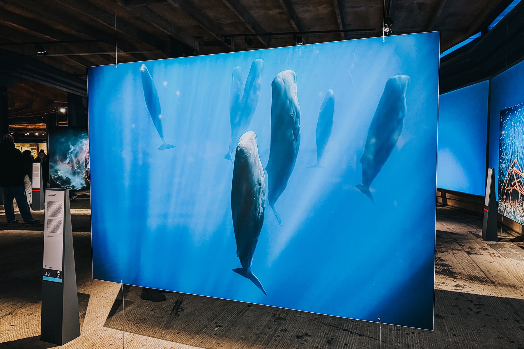 Der Gasometer und die Ausstellung „Planet Ozean“