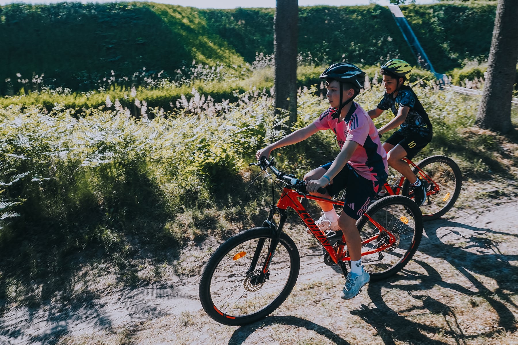 Halsteren Route Mountainbike Niederlande