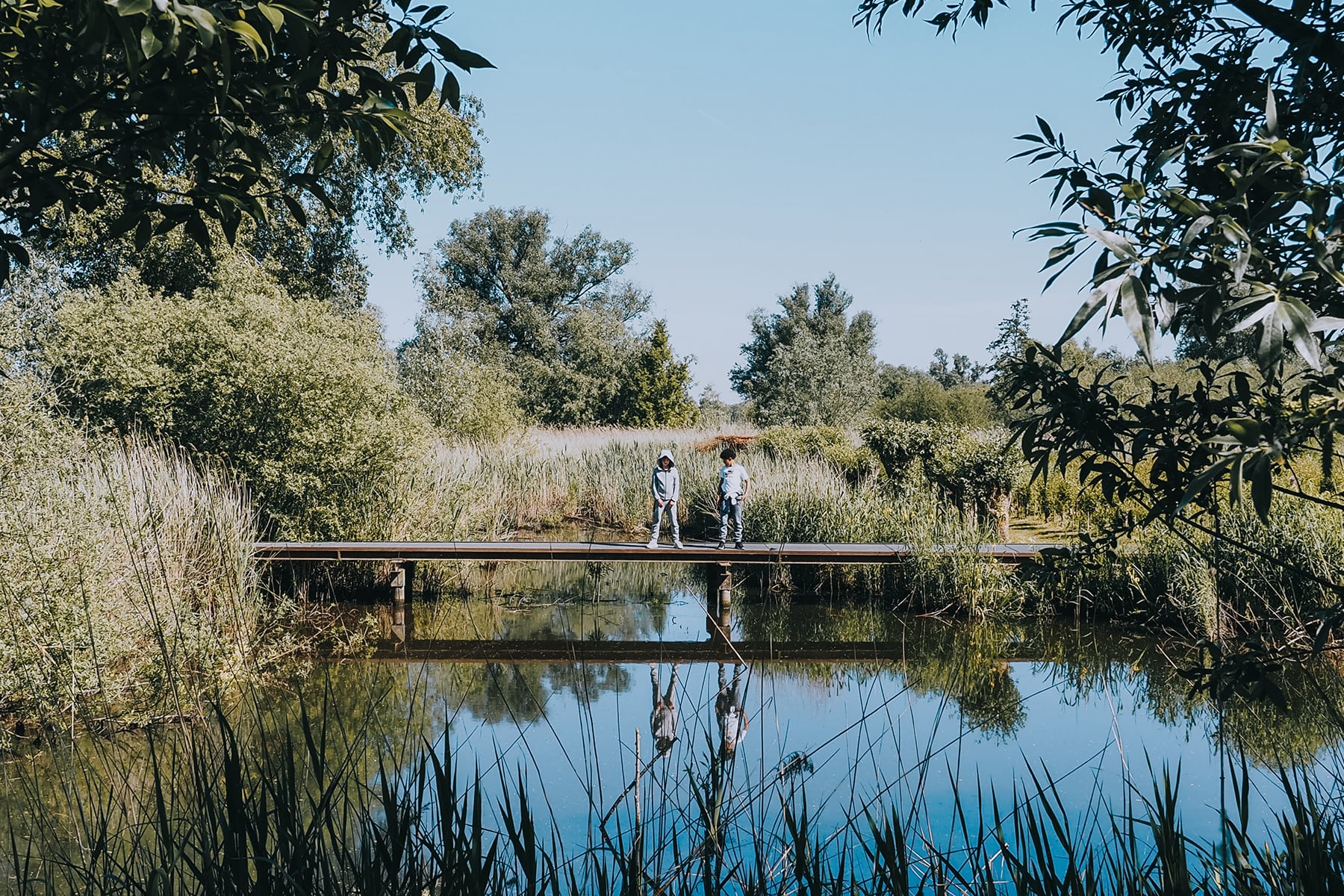 Naturgebiet De Pannekoek Niederlande