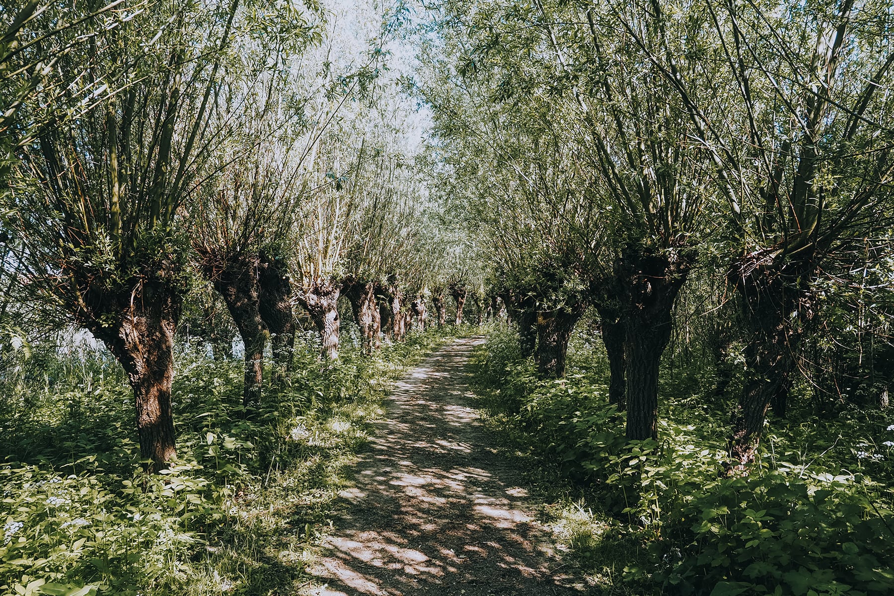 Naturgebiet De Pannekoek Niederlande