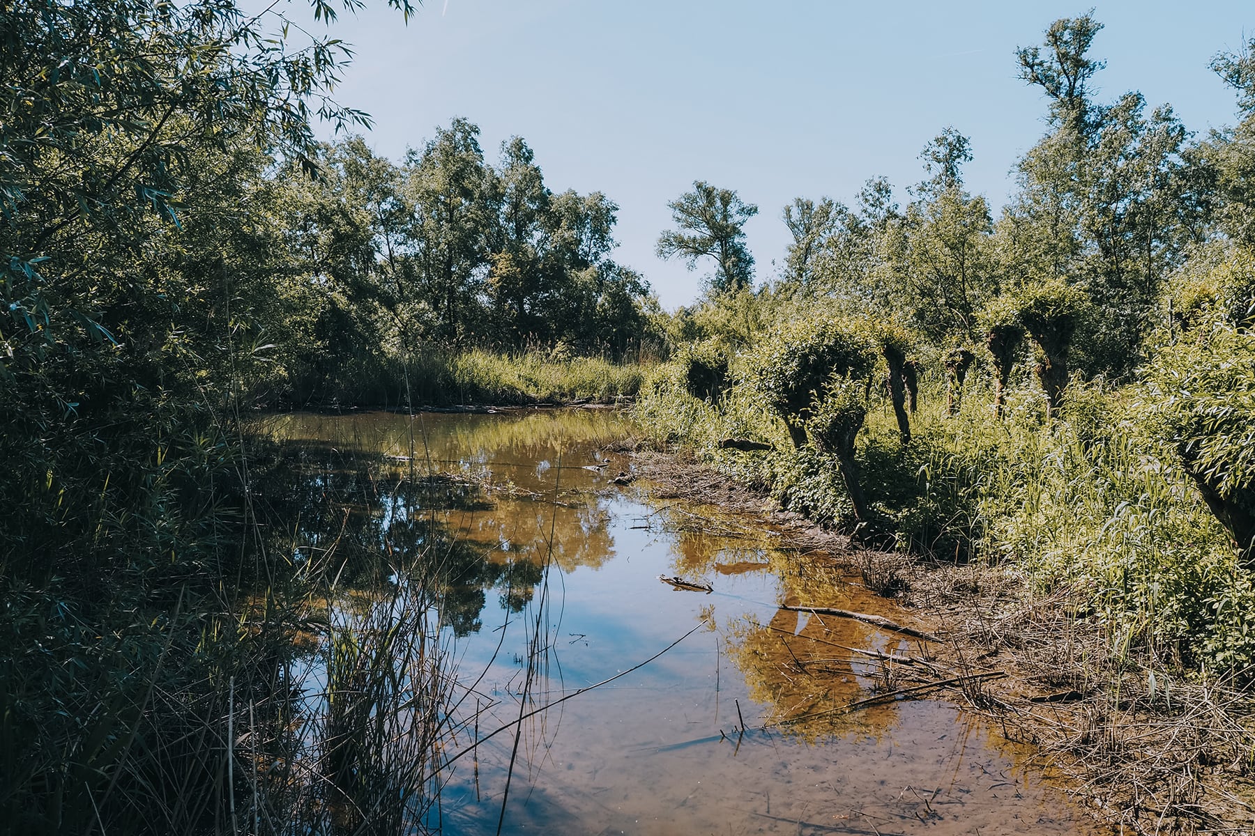 Naturgebiet De Pannekoek Niederlande
