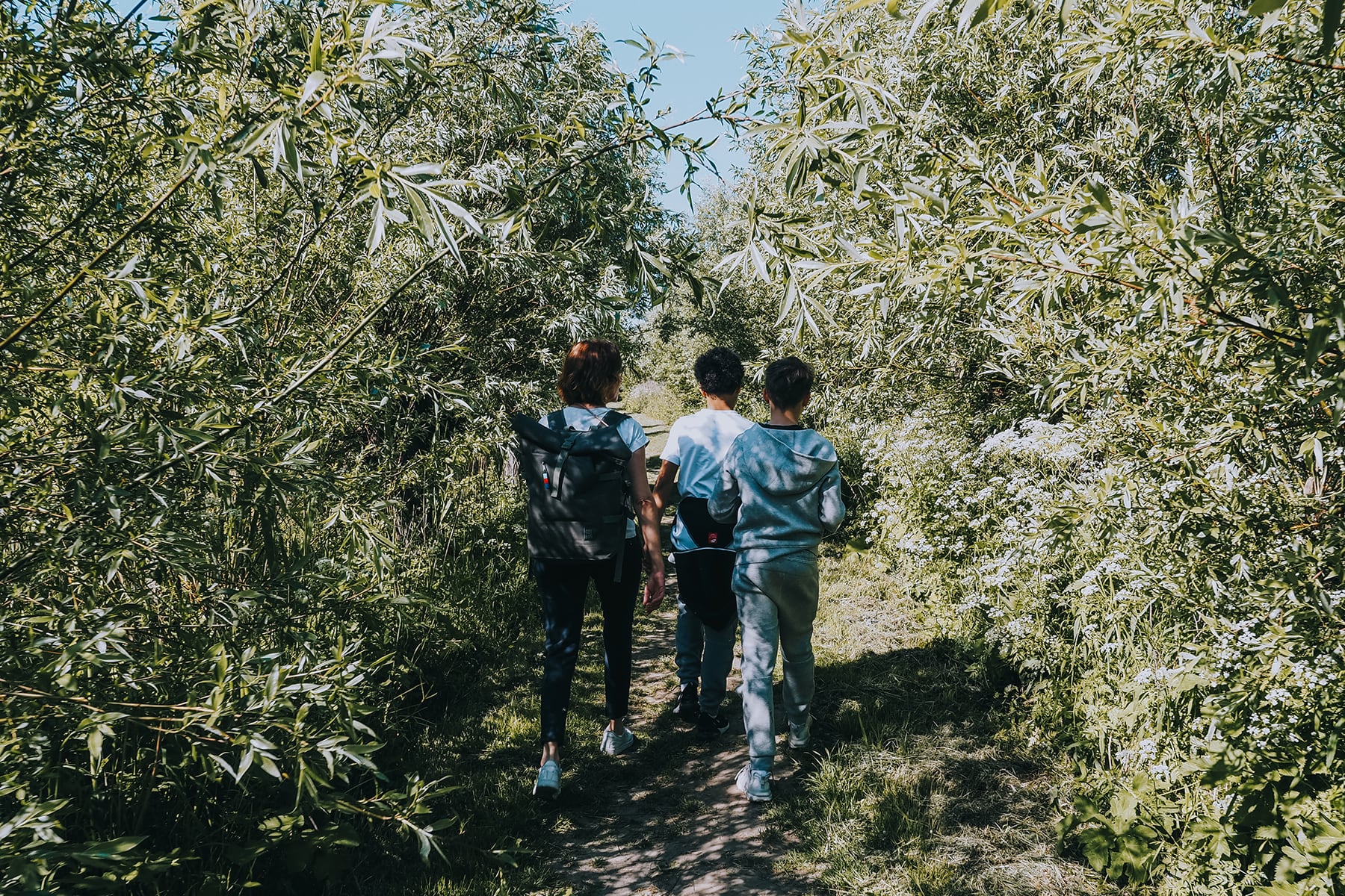 Naturgebiet De Pannekoek Niederlande