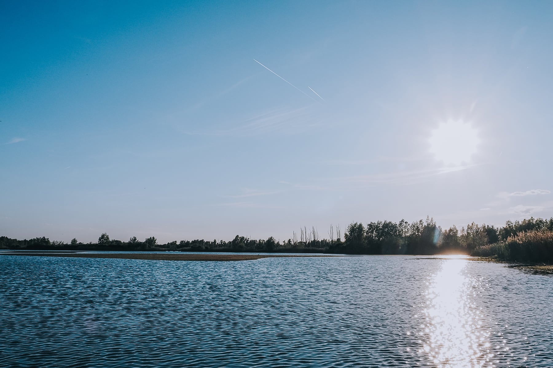 Nationalpark De Biesbosch Brabant Niederlande