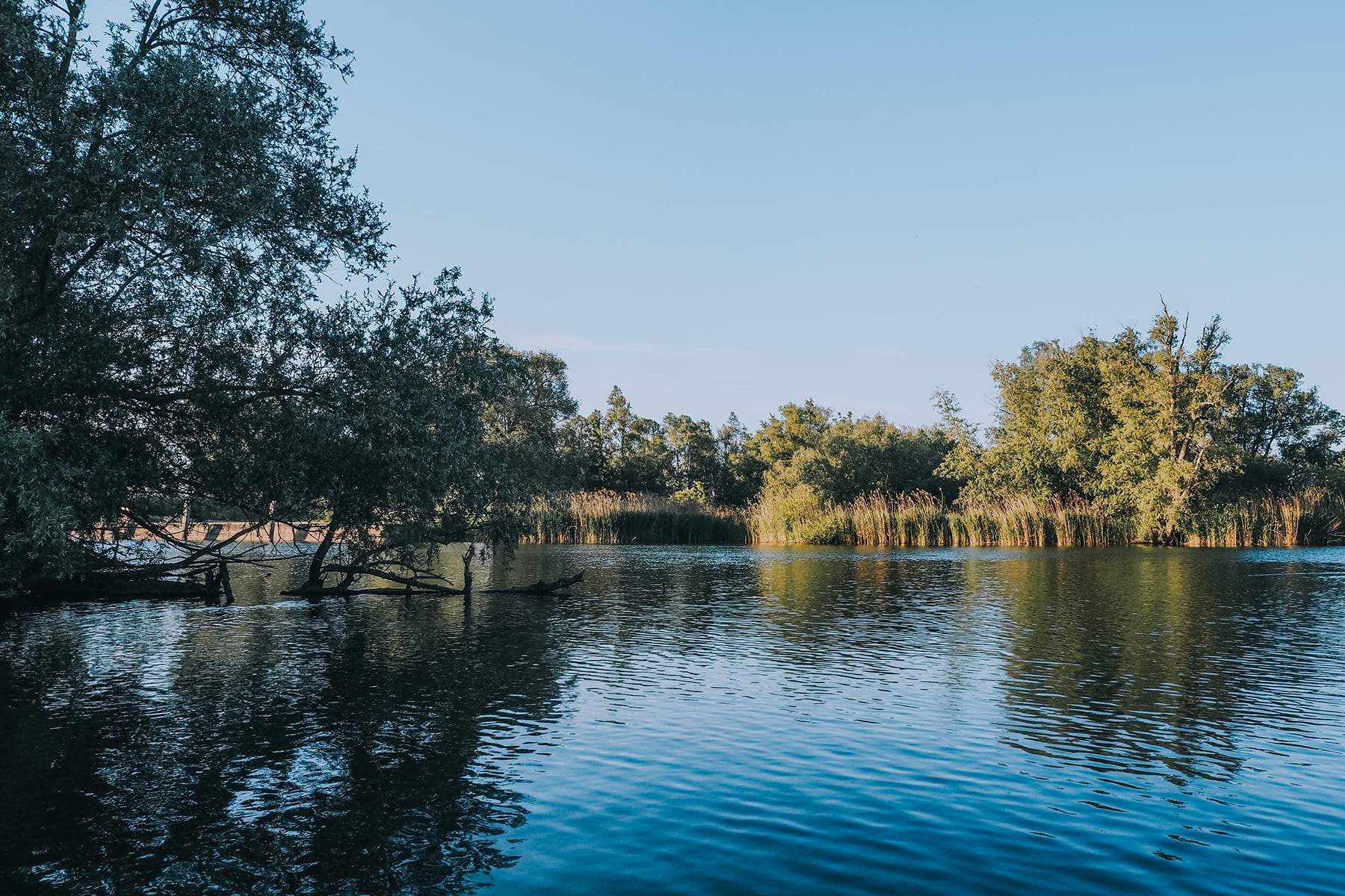 Nationalpark De Biesbosch Brabant Niederlande