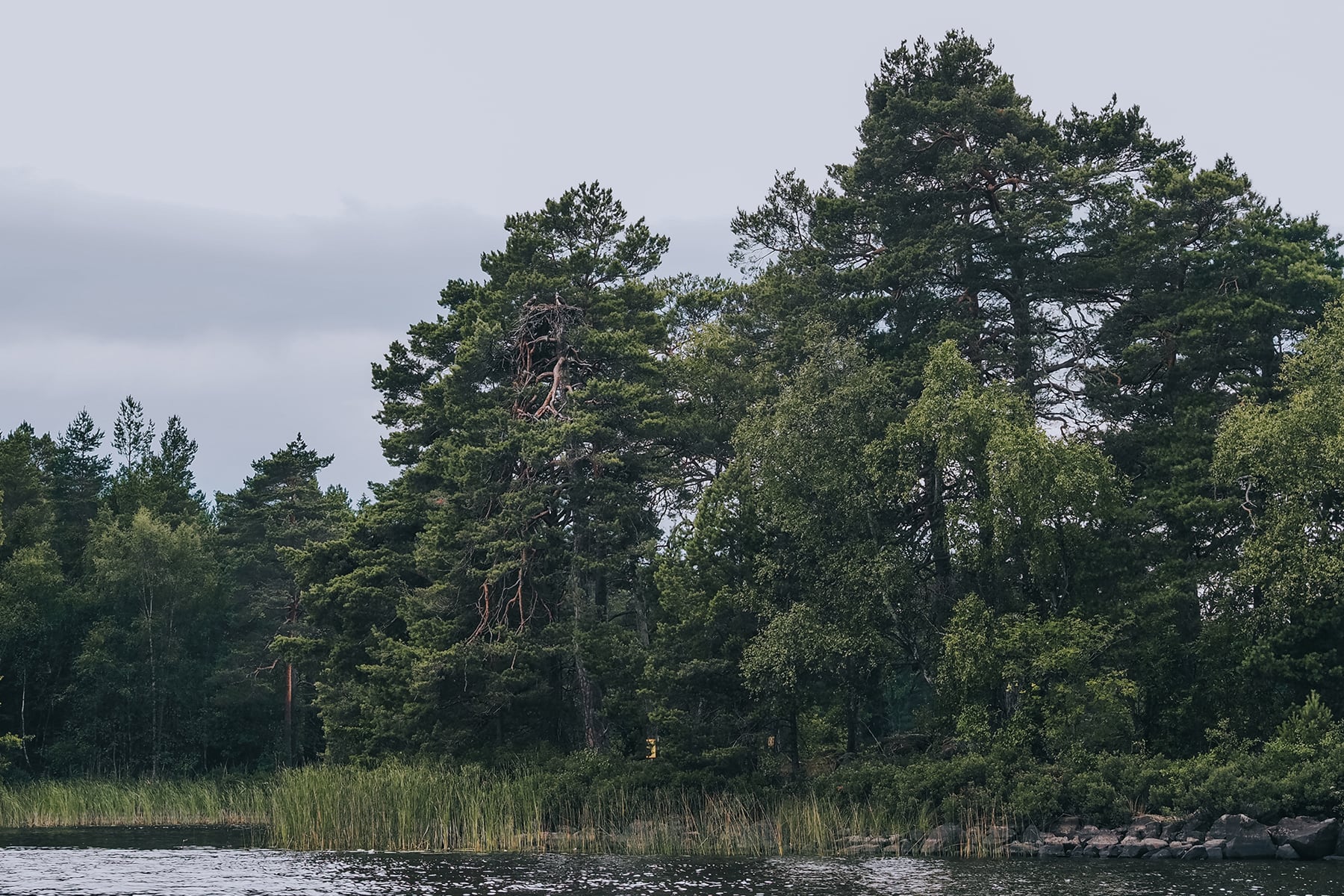Sommerferien in Småland