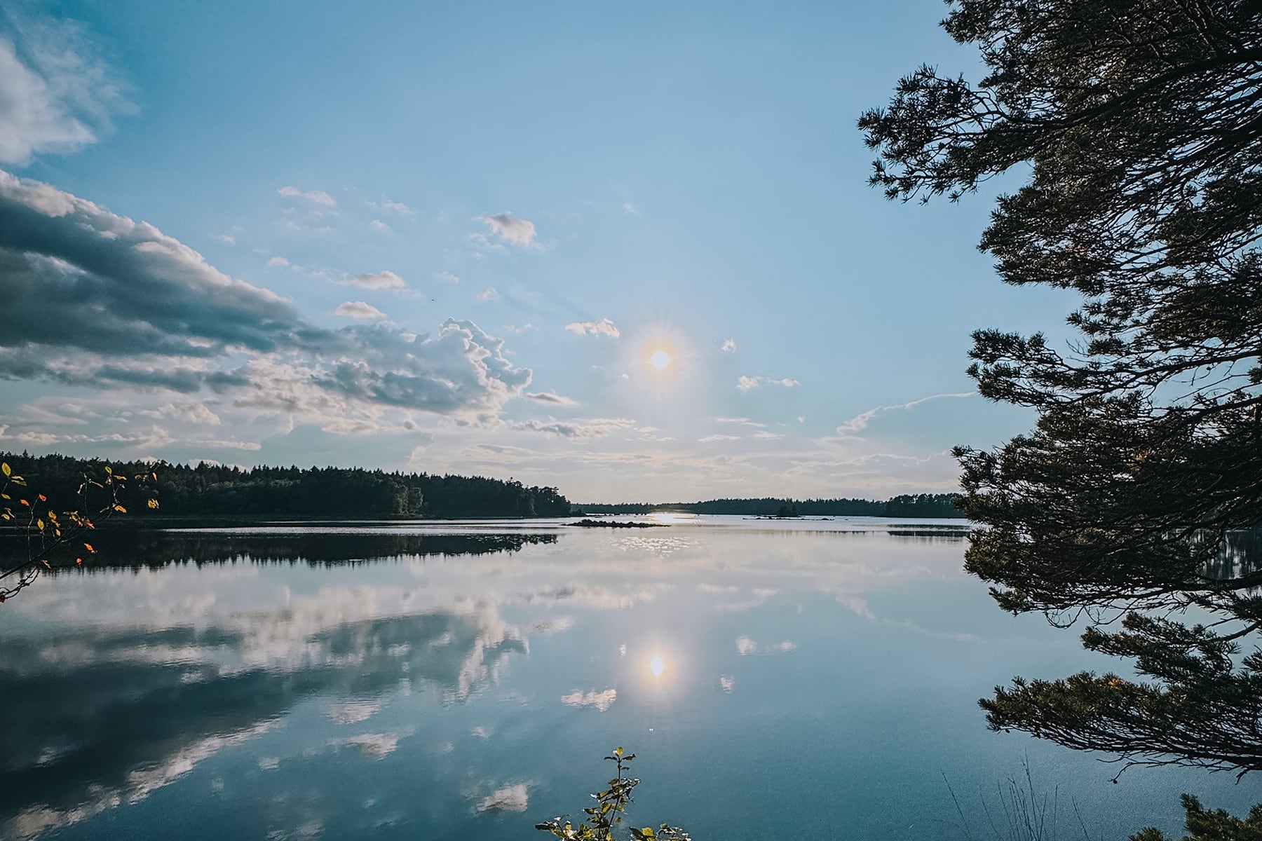 See Wald Insel Småland Schweden