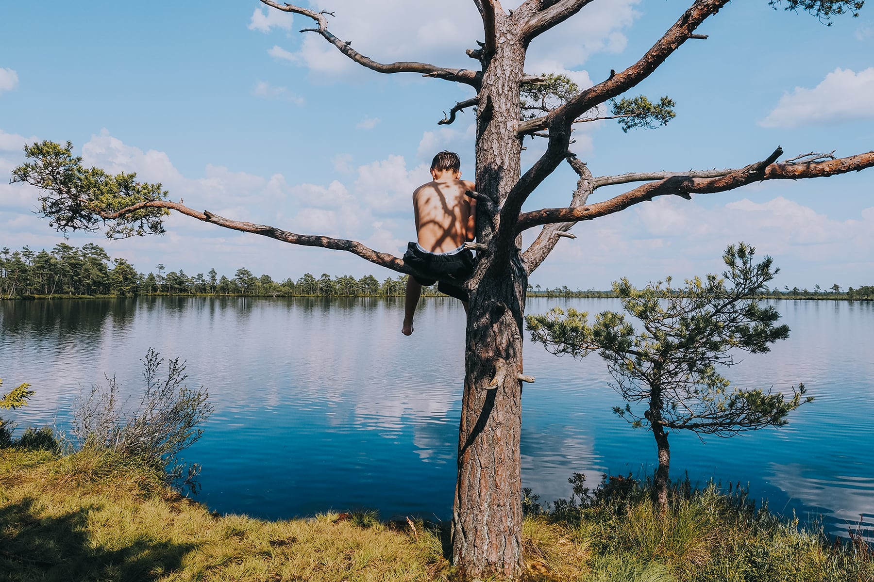 Hochmoor Store Mosse in Småland Schweden