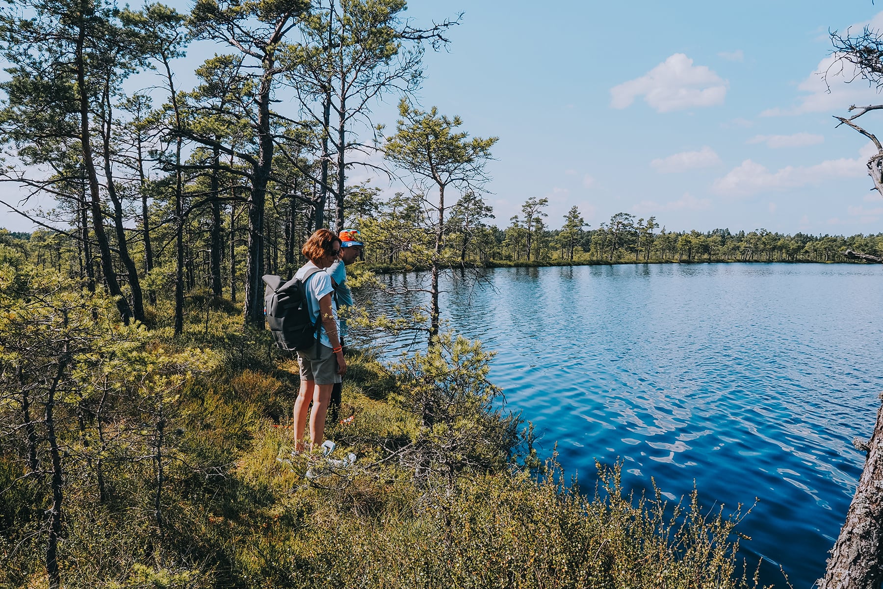 Hochmoor Store Mosse in Småland Schweden