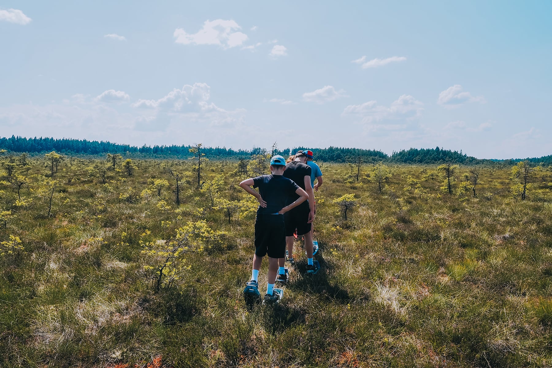 Hochmoor Store Mosse in Småland Schweden