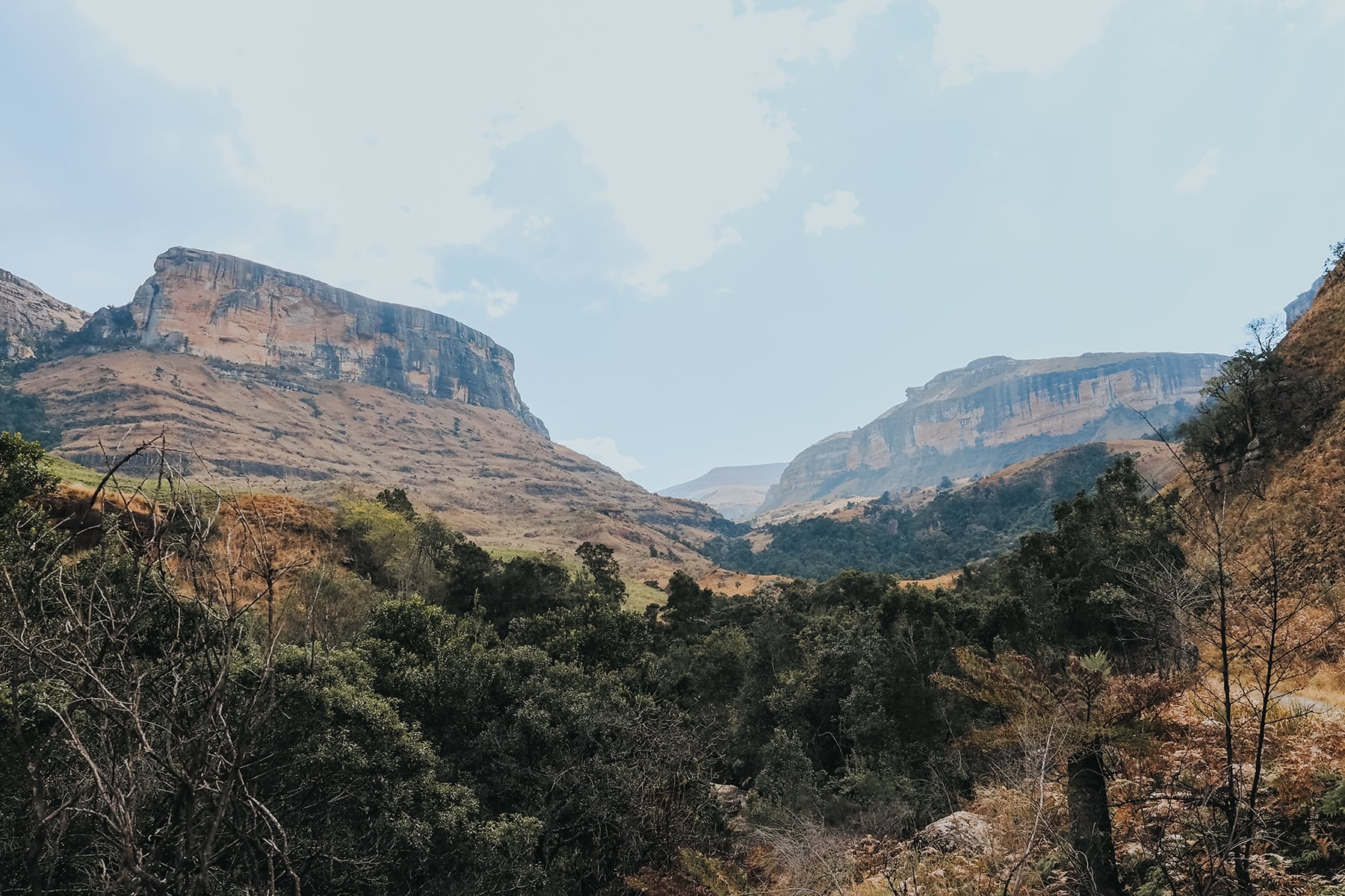 Südafrika mit Kindern - Safari und Abenteuer mit der Familie