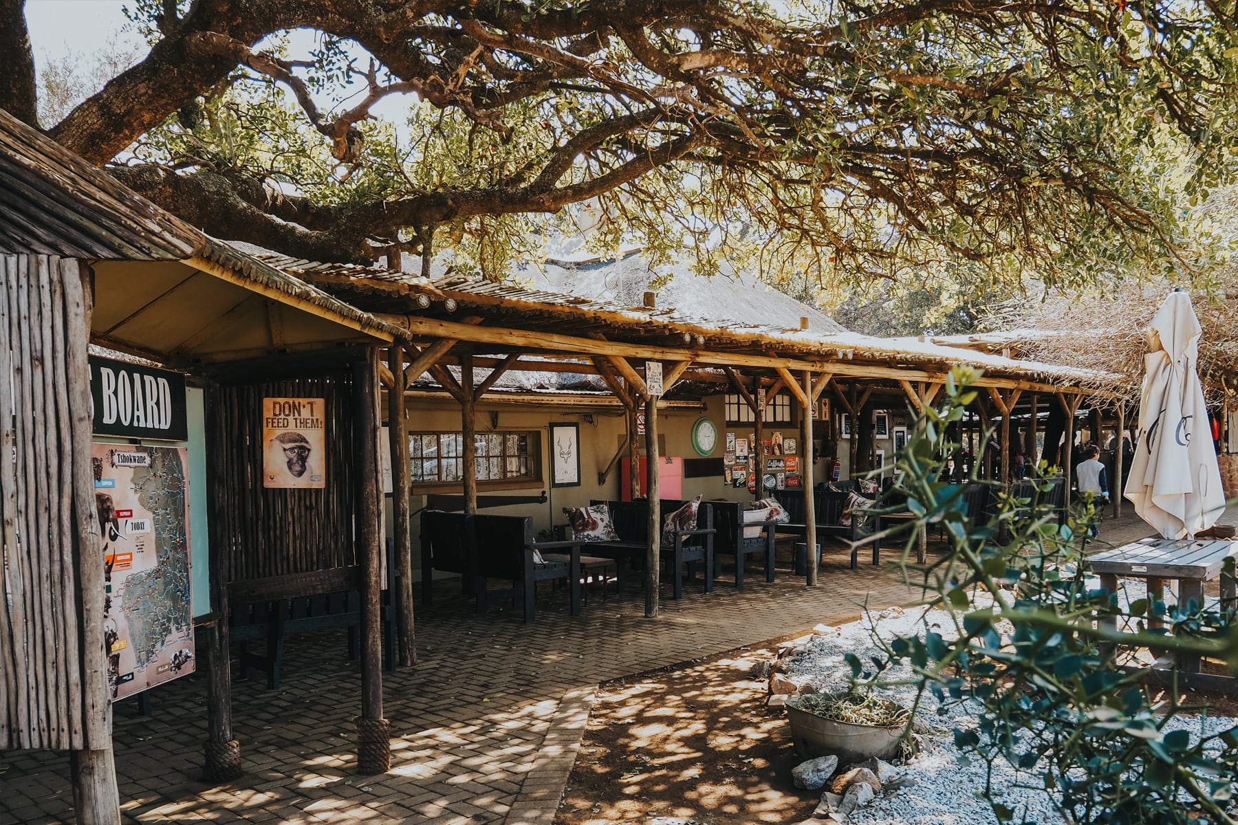 Kruger Nationalpark Safari Südafrika