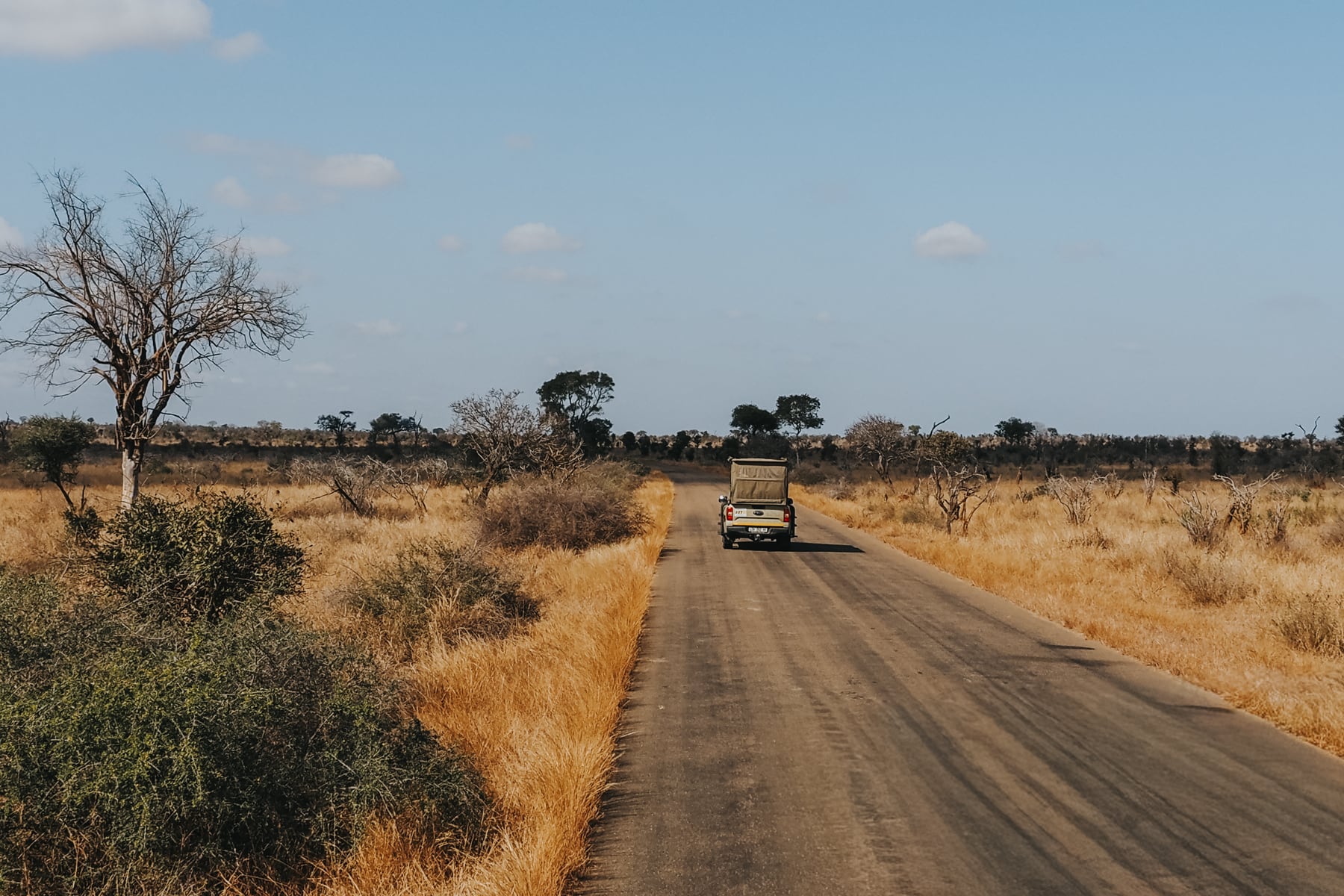 Kruger Nationalpark Safari Südafrika