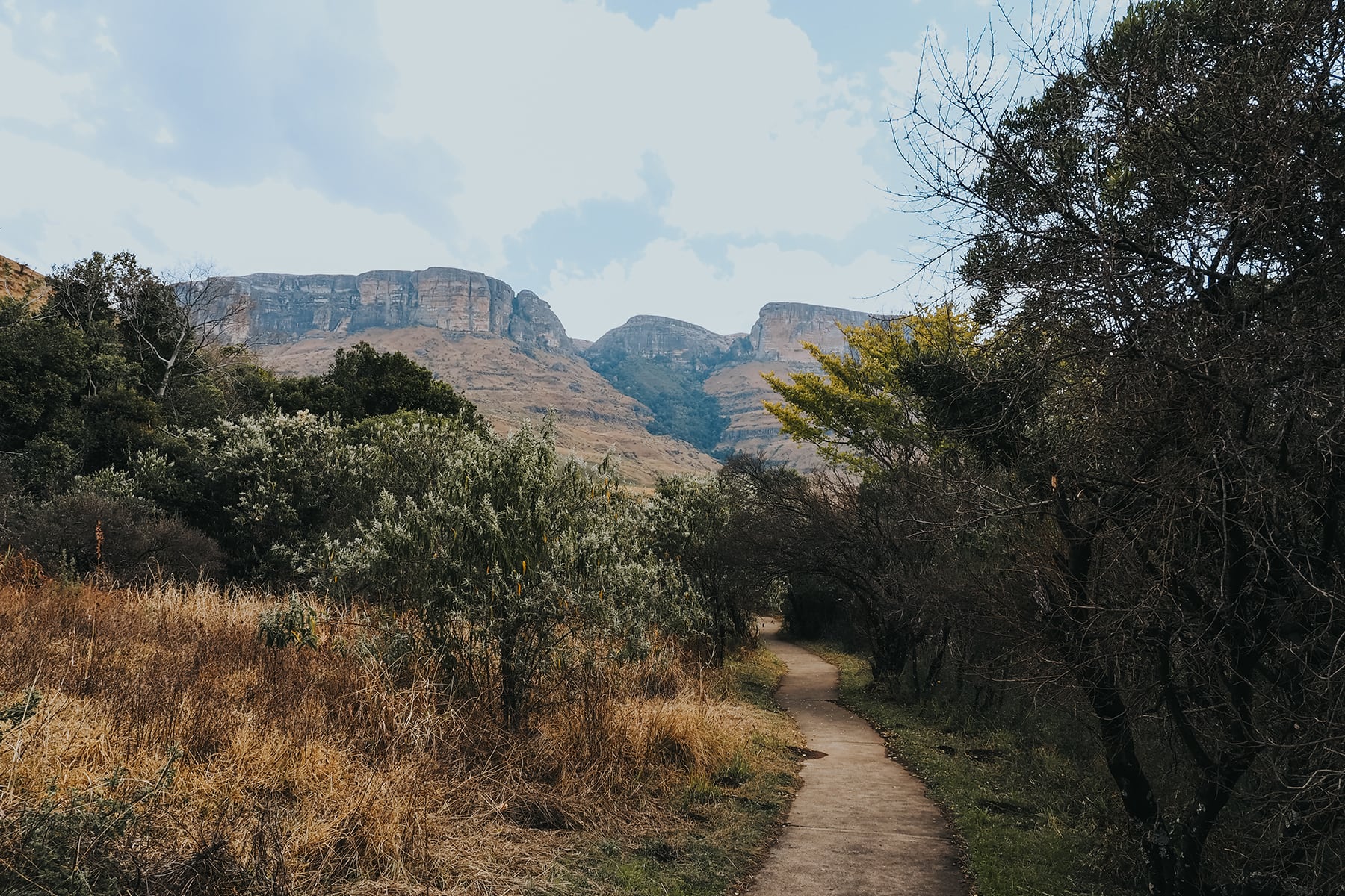 Drakensberge Royal Natal Nationalpark Südafrika
