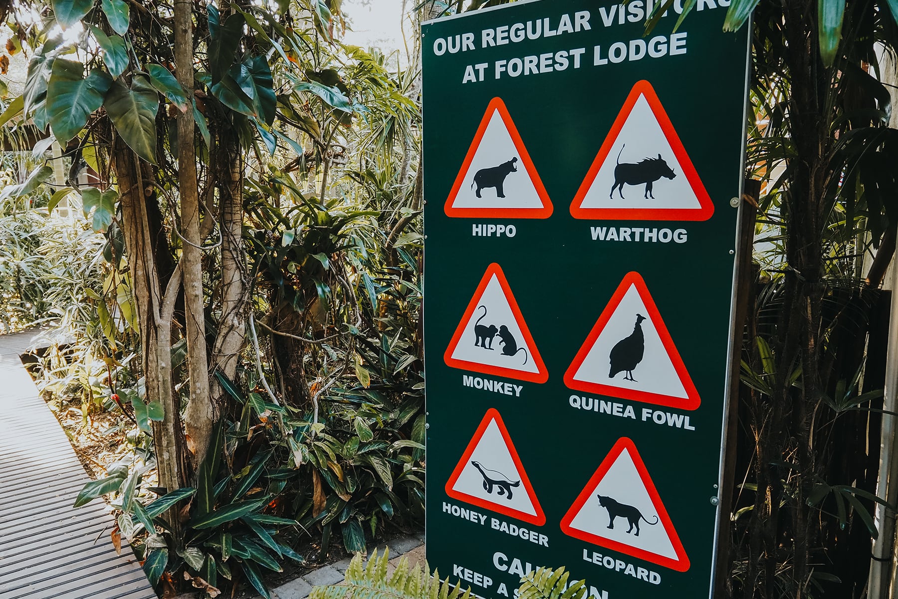 Forrest Lodge Santa Lucia Südafrika Rundreise