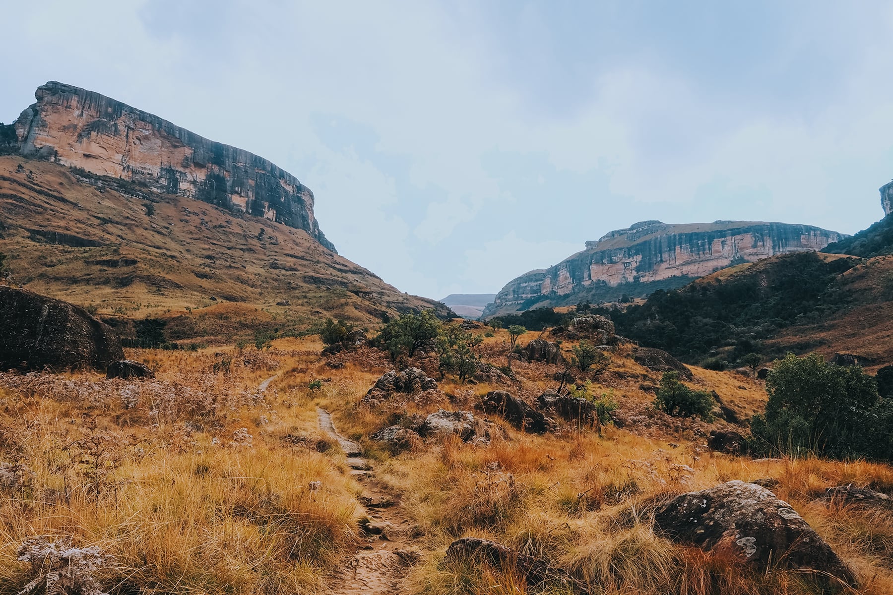 Rundreise durch Südafrika mit Kindern