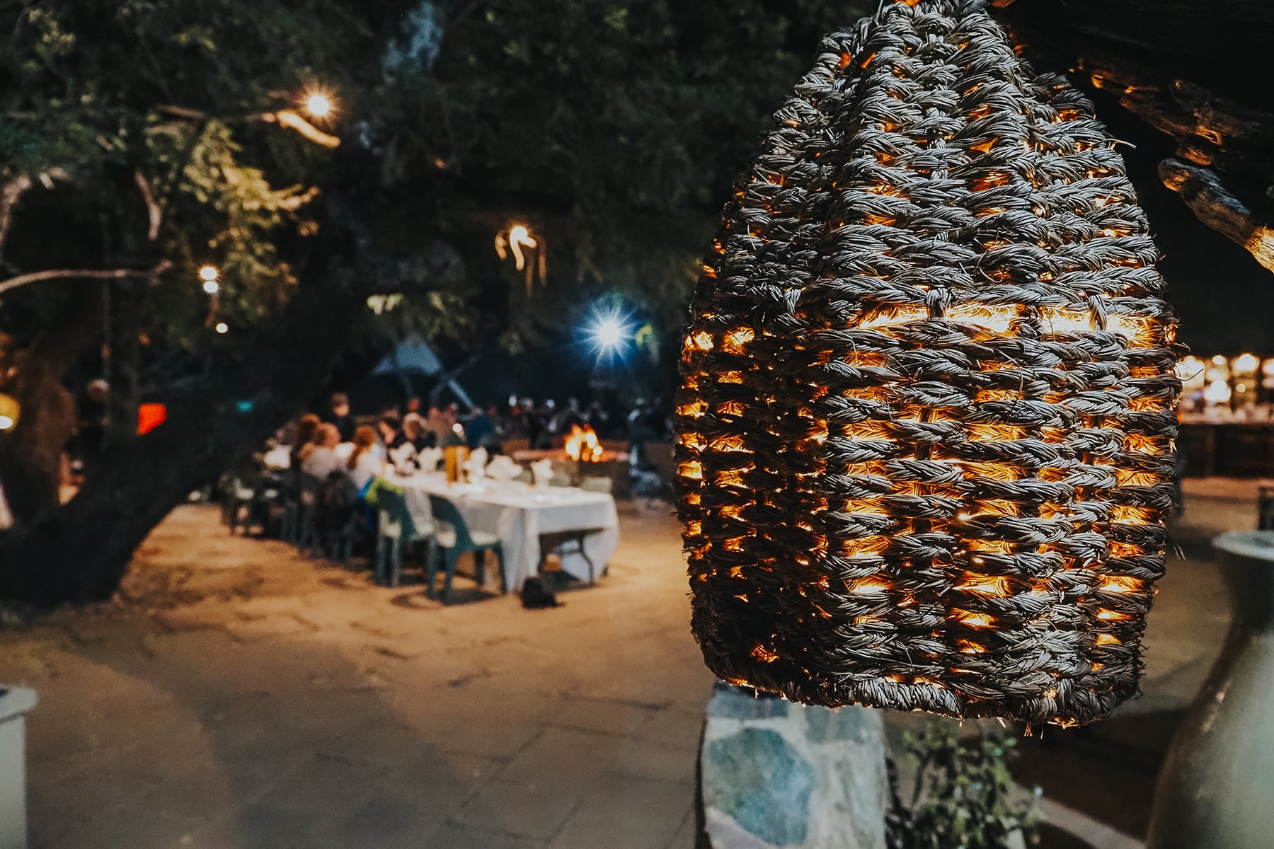 Timbavati Lodge Südafrika-Rundreise