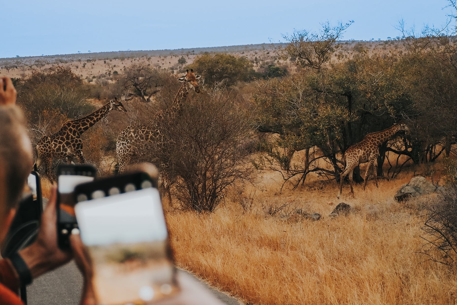 Familien Gruppenreise mit Djoser durch Südafrika