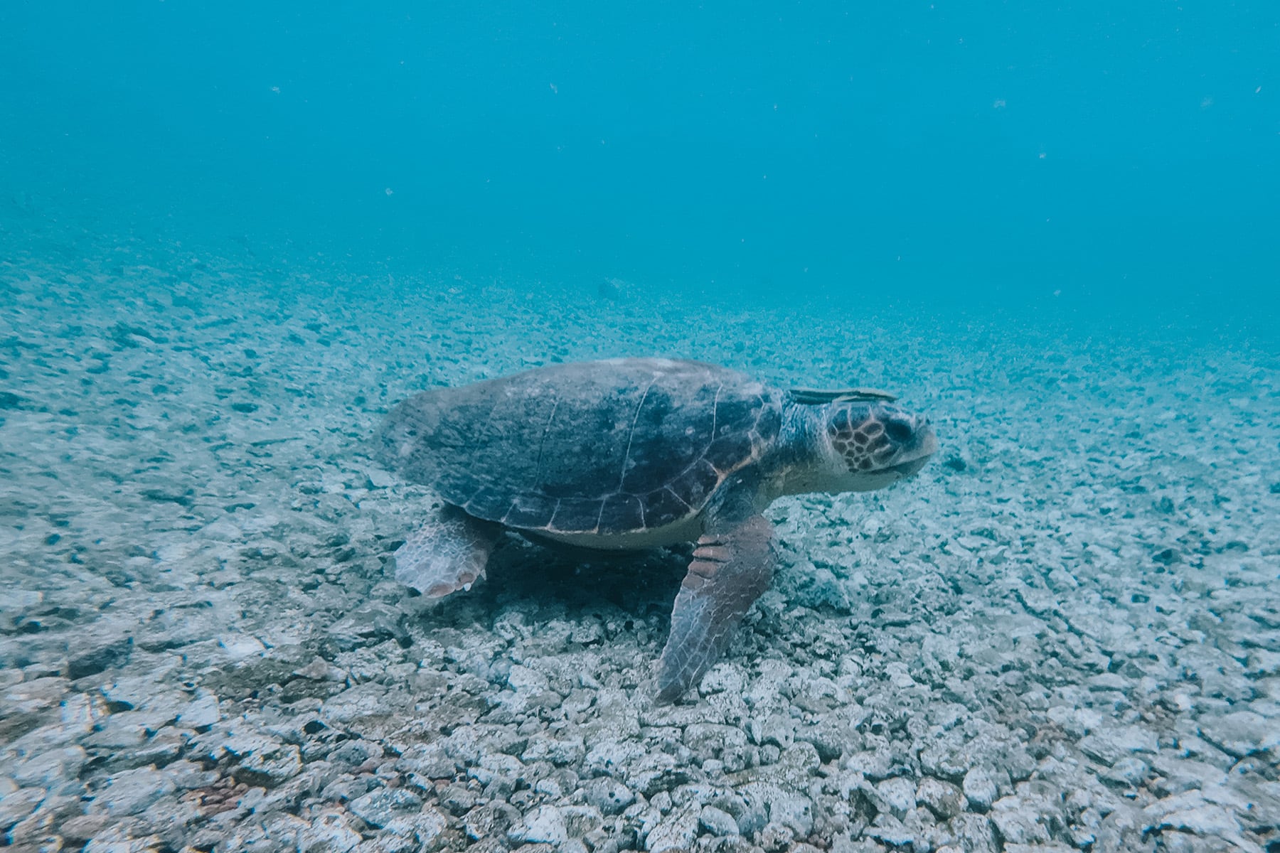 Epidaurus Peloponnes Griechenland