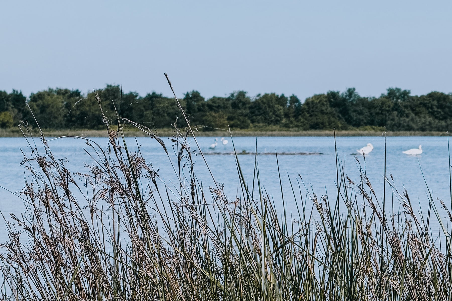 Bibione an der Adria in Venetien in Italien