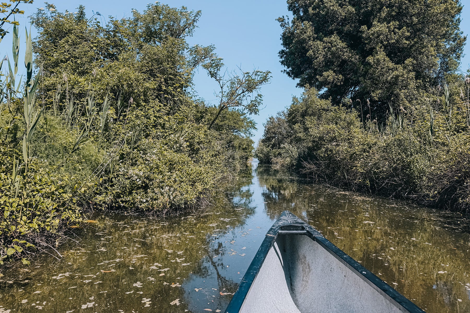 Sommer in Bibione in Italien