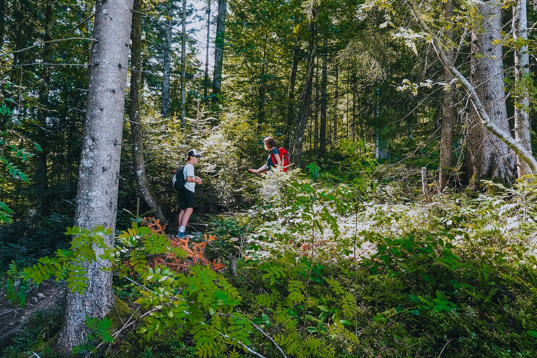 KAT Walk Family in den Kitzbüheler Alpen in Tirol in Österreich