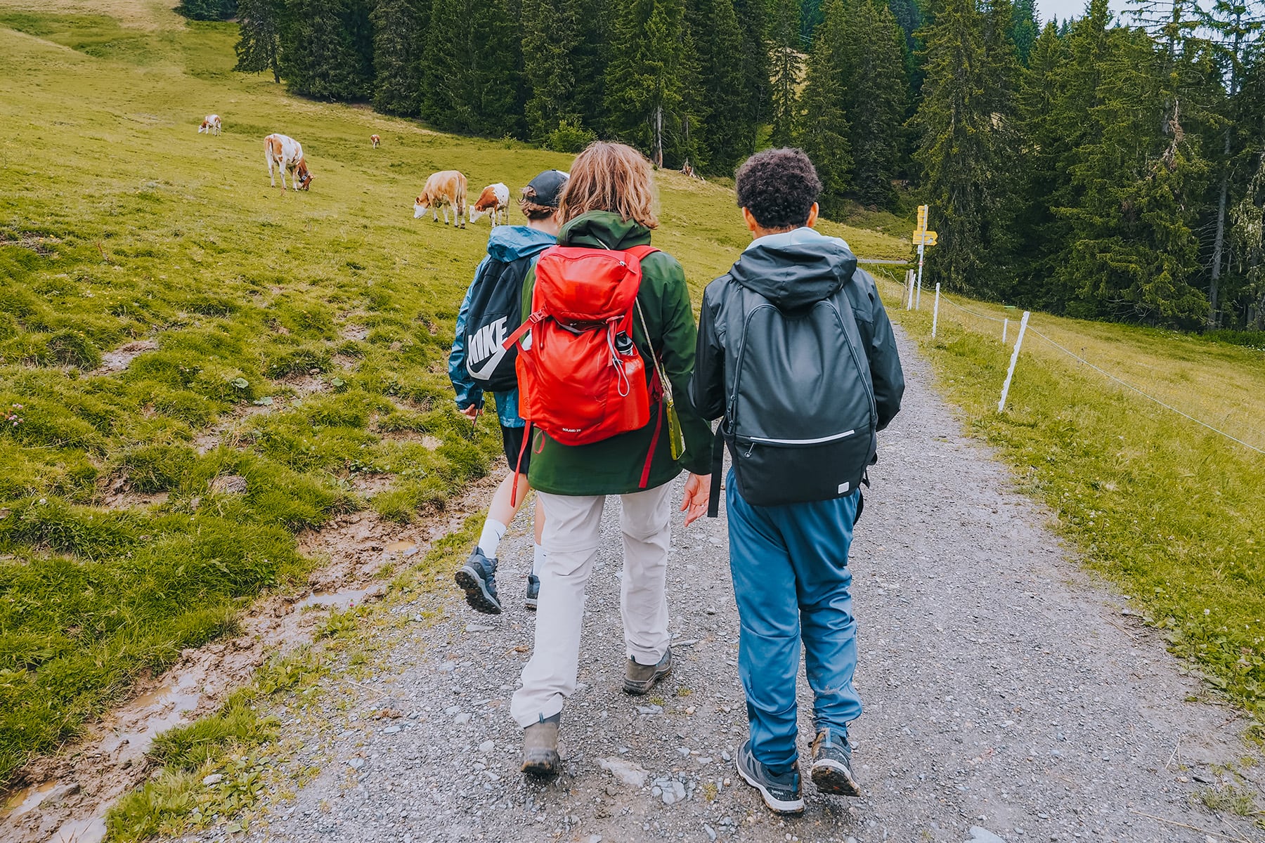 KAT Walk Family in den Kitzbüheler Alpen in Tirol in Österreich