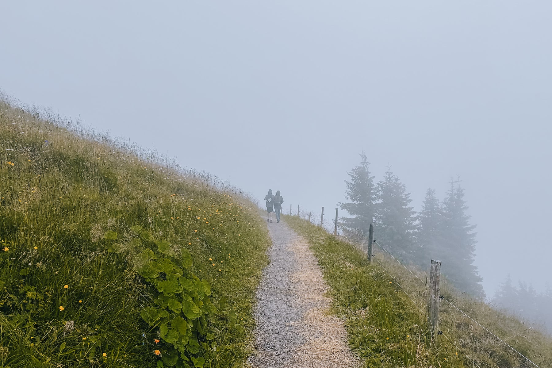 Hohe Salve in Tirol in Österreich