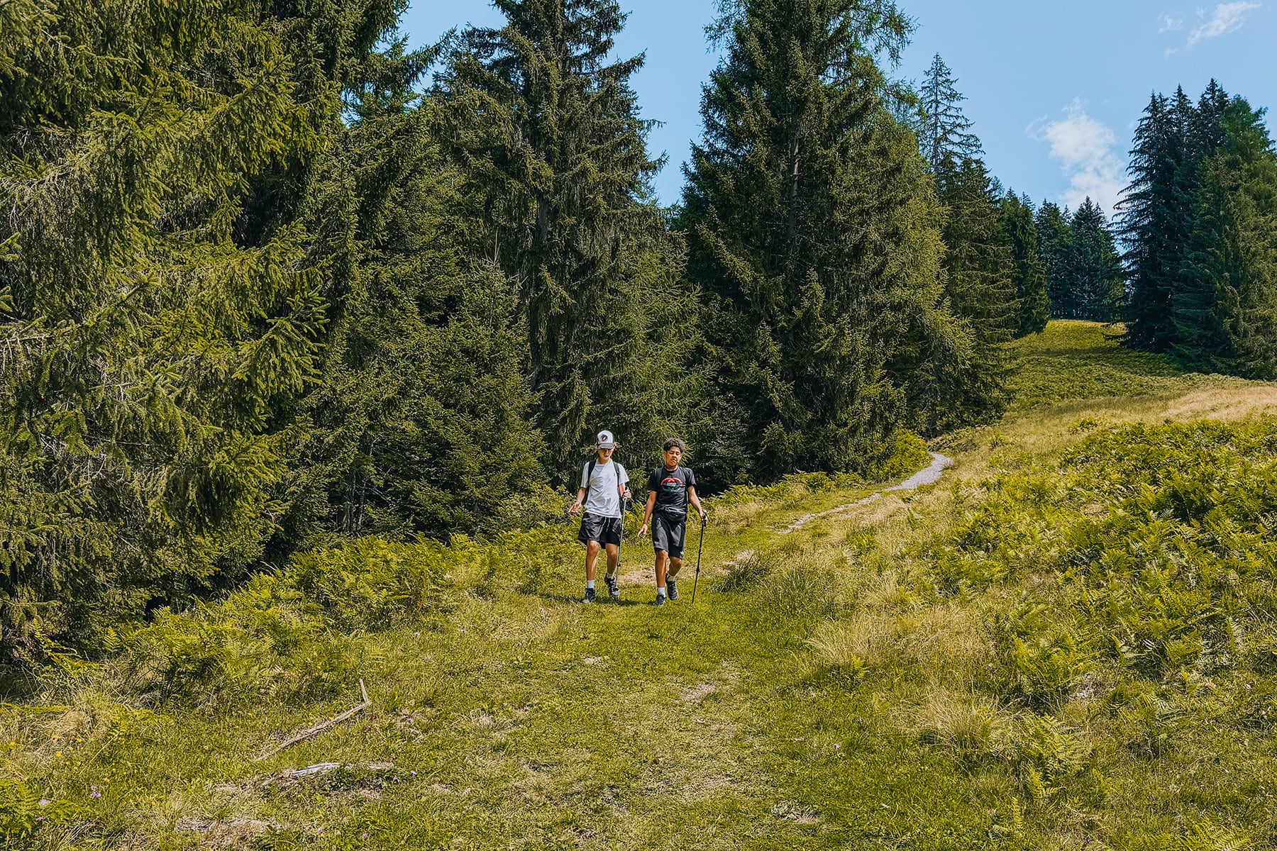 KAT Walk Family in den Kitzbüheler Alpen in Tirol in Österreich
