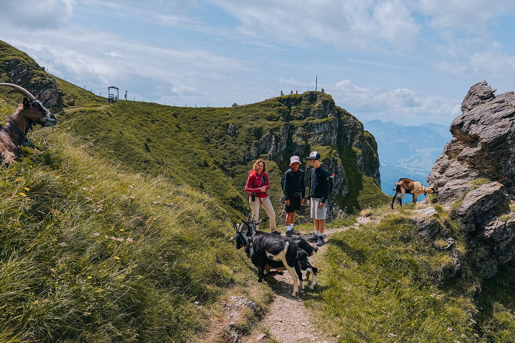 KAT Walk Family in den Kitzbüheler Alpen in Tirol in Österreich