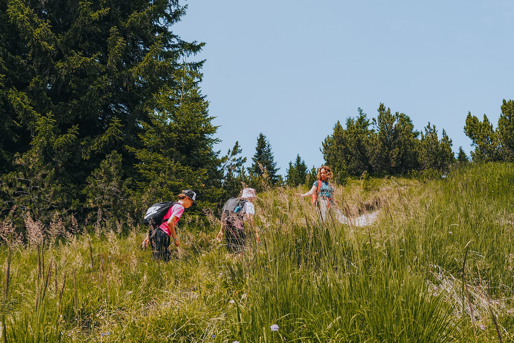 KAT Walk Family in den Kitzbüheler Alpen in Tirol in Österreich