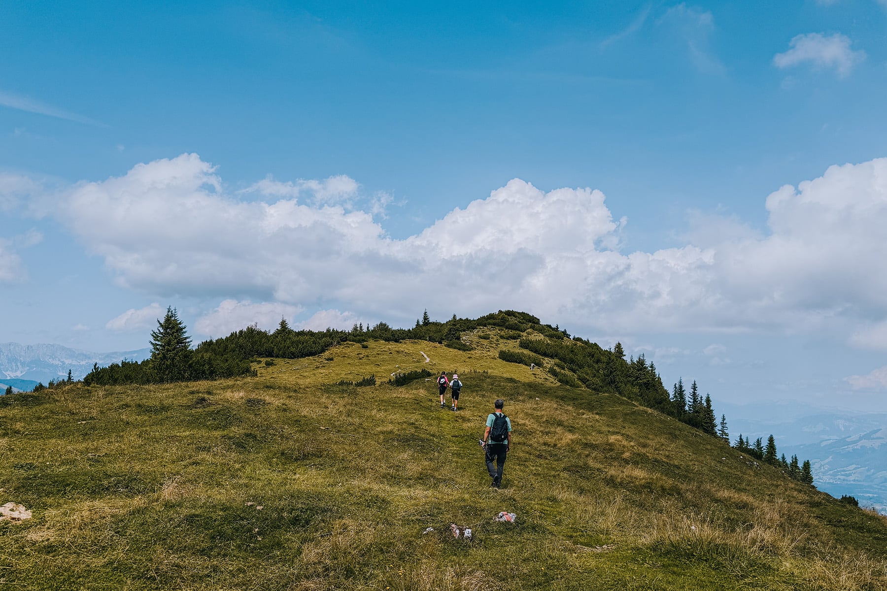KAT Walk Family in den Kitzbüheler Alpen in Tirol in Österreich