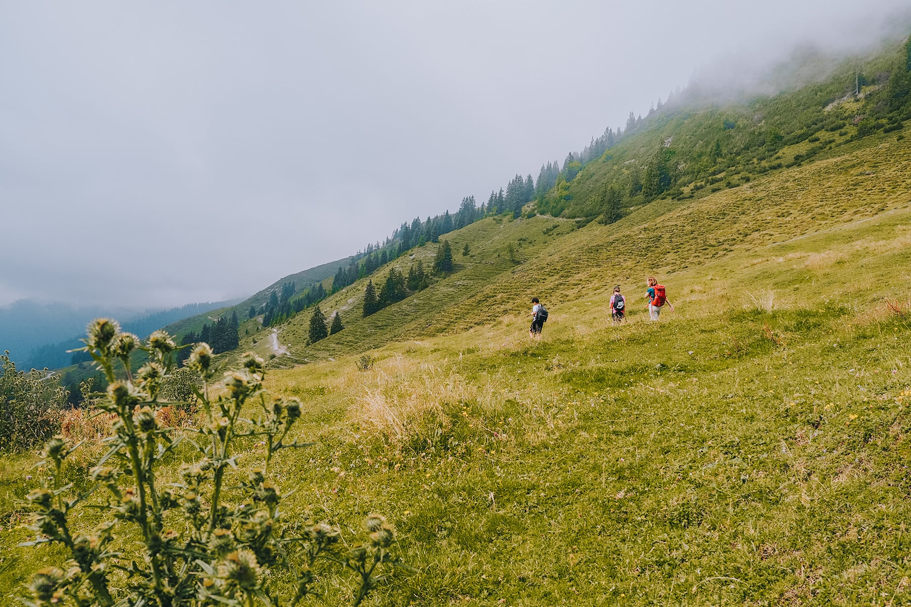 KAT Walk Family in den Kitzbüheler Alpen in Tirol in Österreich
