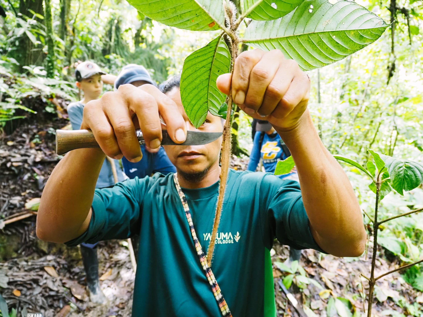 Amazonasgebiet in Ecuador