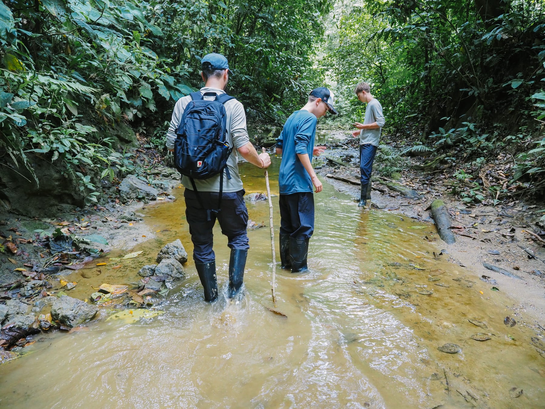 Amazonasgebiet in Ecuador