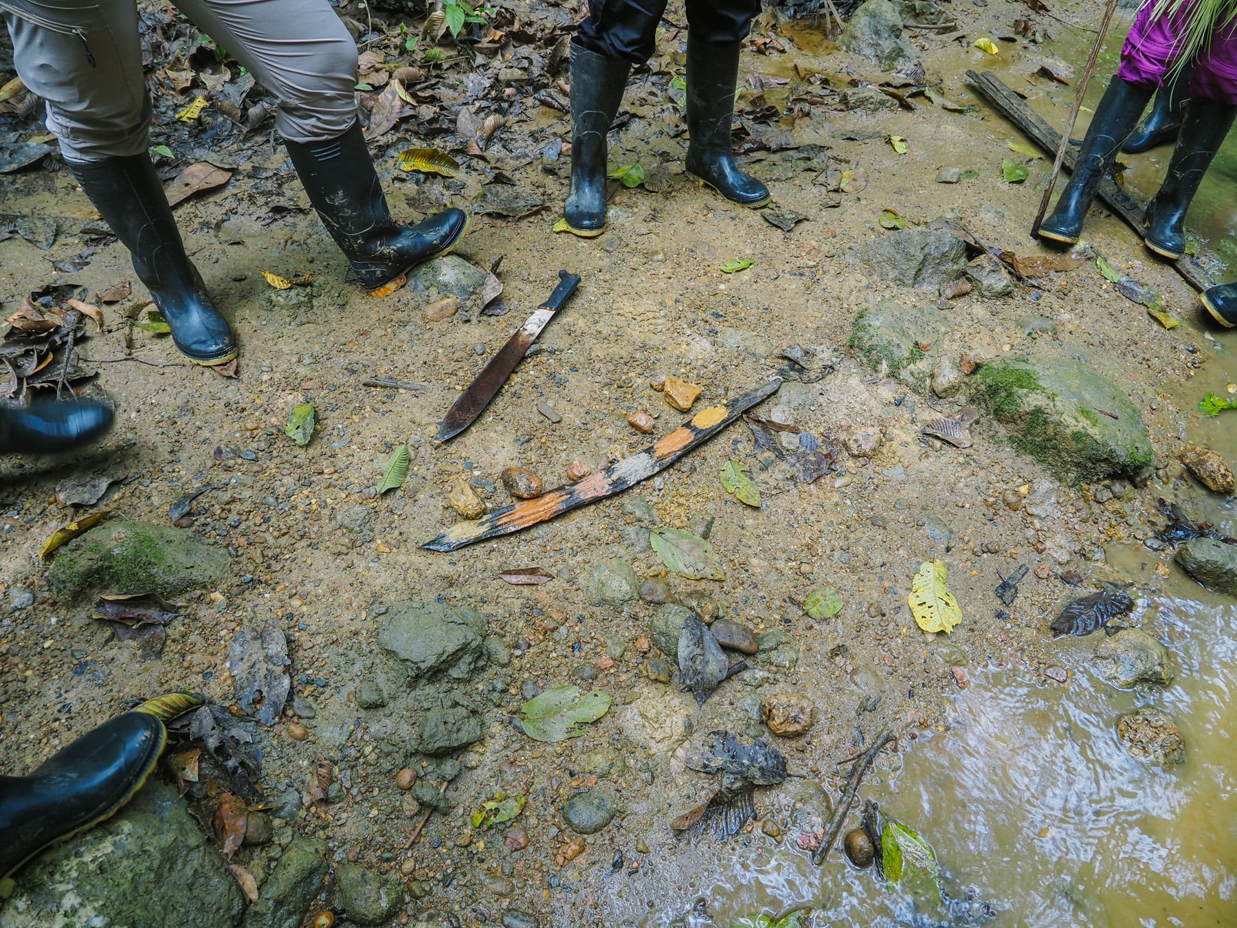 Amazonasgebiet in Ecuador