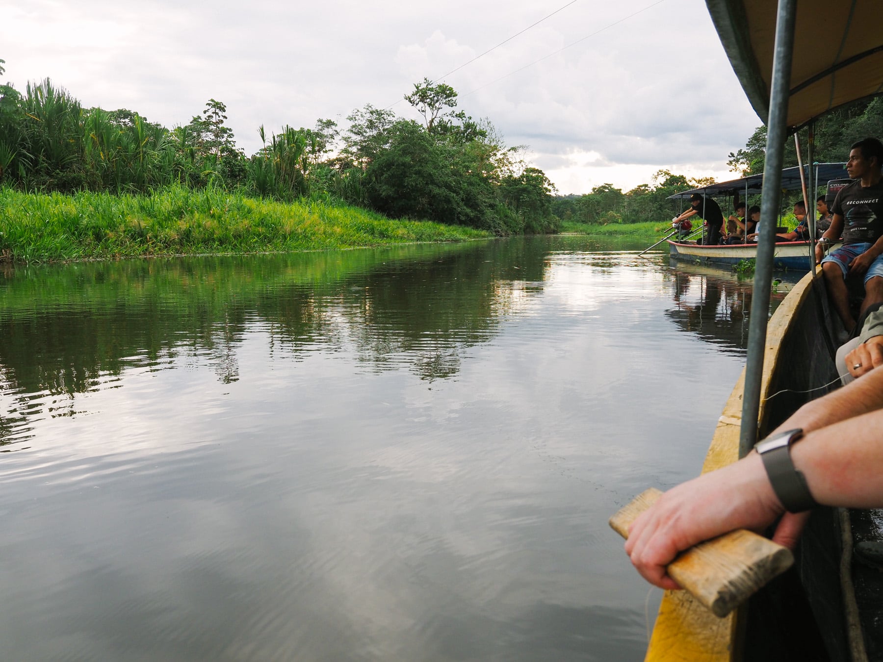 Piranhafischen im Amazonasgebiet in Ecuador
