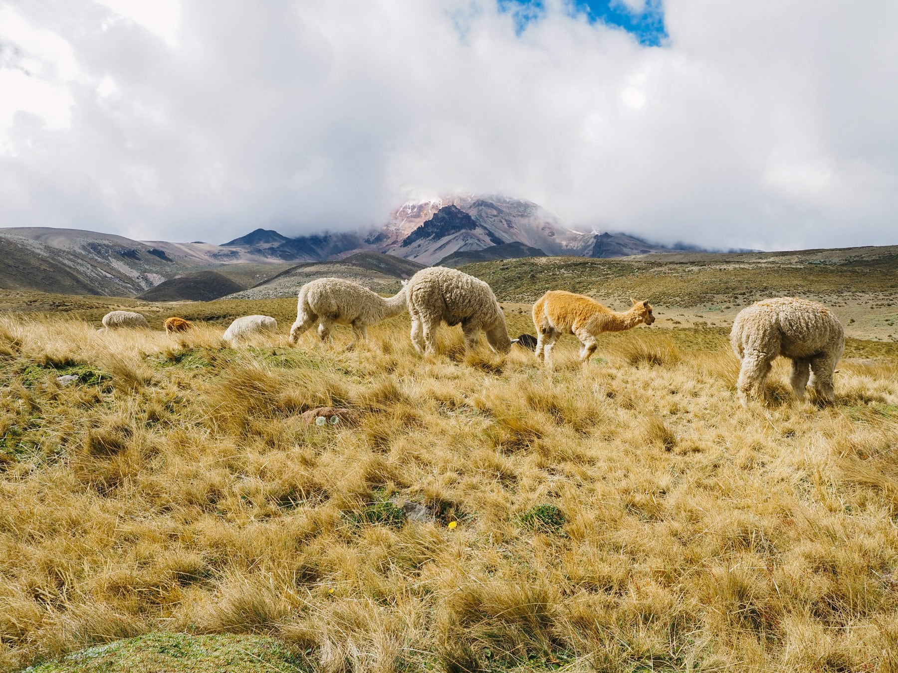 Ecuador mit Kindern: Rundreise in Südamerika
