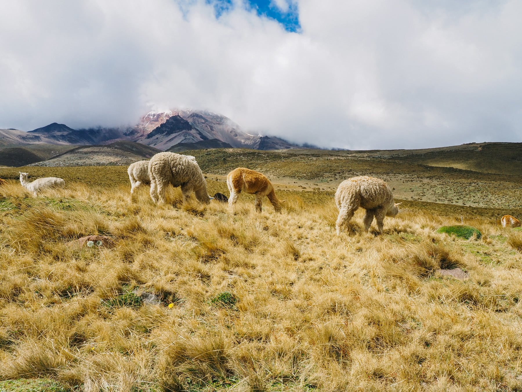 Ecuador mit Kindern: Eine Gruppenreise mit der Familie