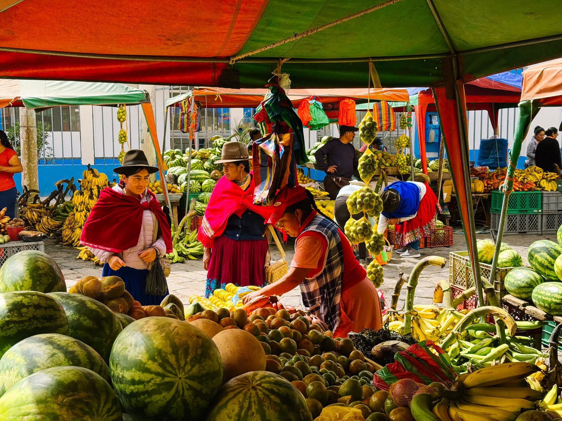 Ecuador mit Kindern - Anden, Amazonas und Regenwald, Vulkane und Galapagosinseln