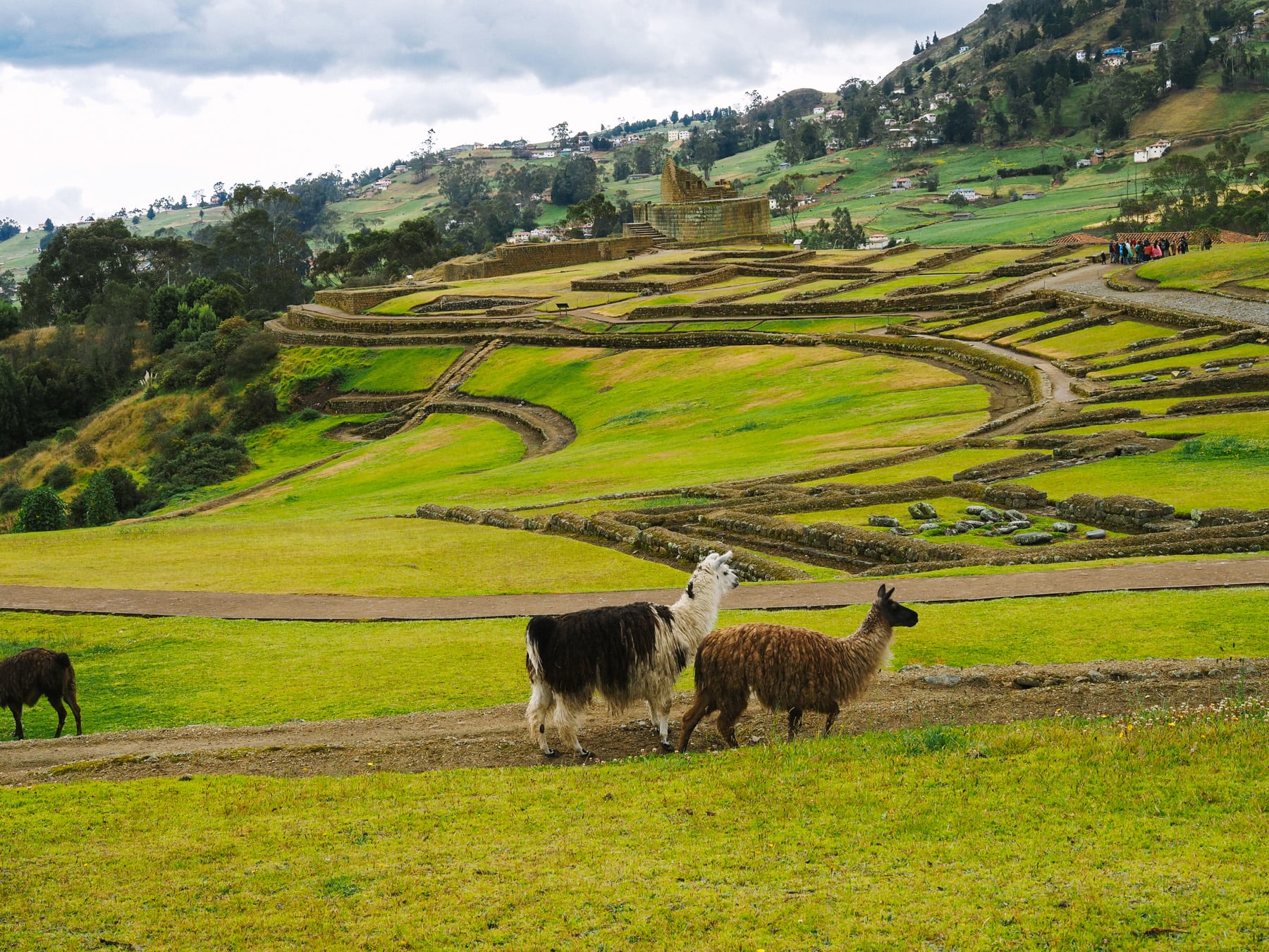 Ecuador mit Kindern: Rundreise in Südamerika
